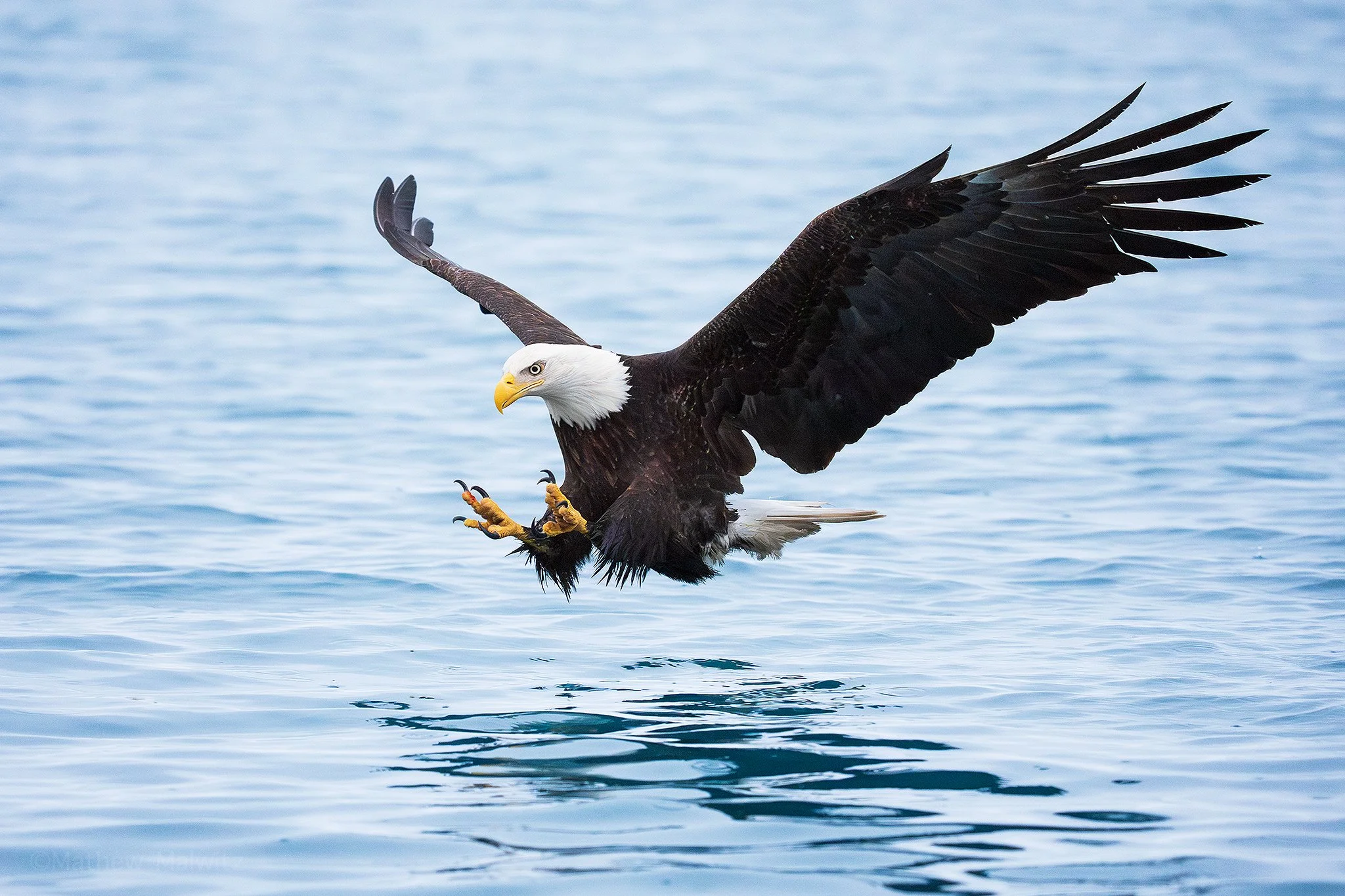 DSC08264-Edit-2 copy.jpg