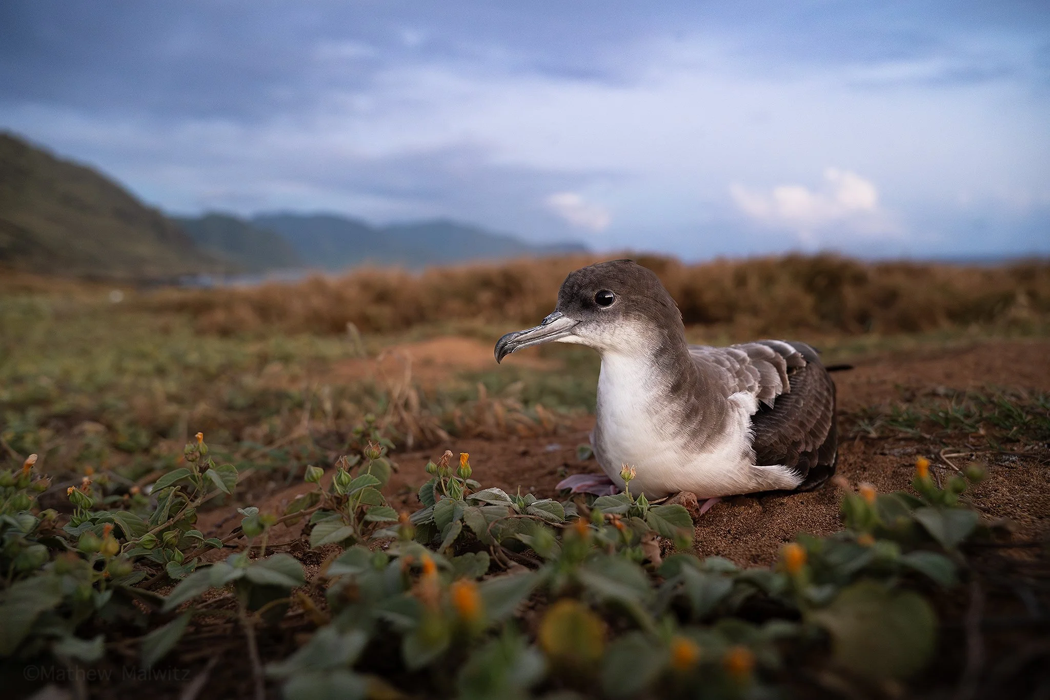 DZF_4033-Enhanced-NR-Edit copy.jpg