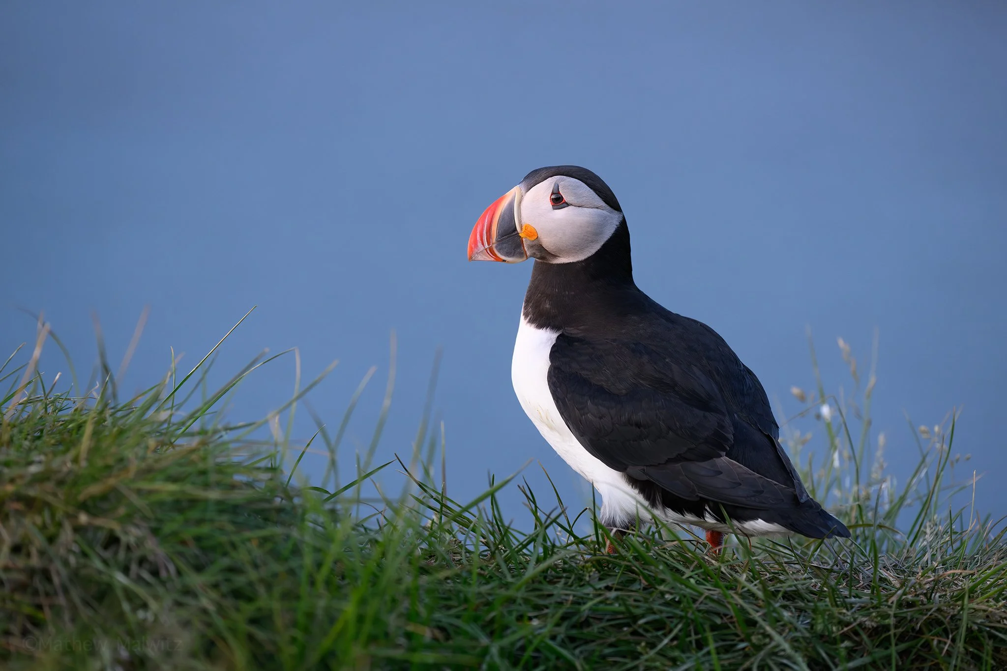 DSC_8723-Edit copy.jpg