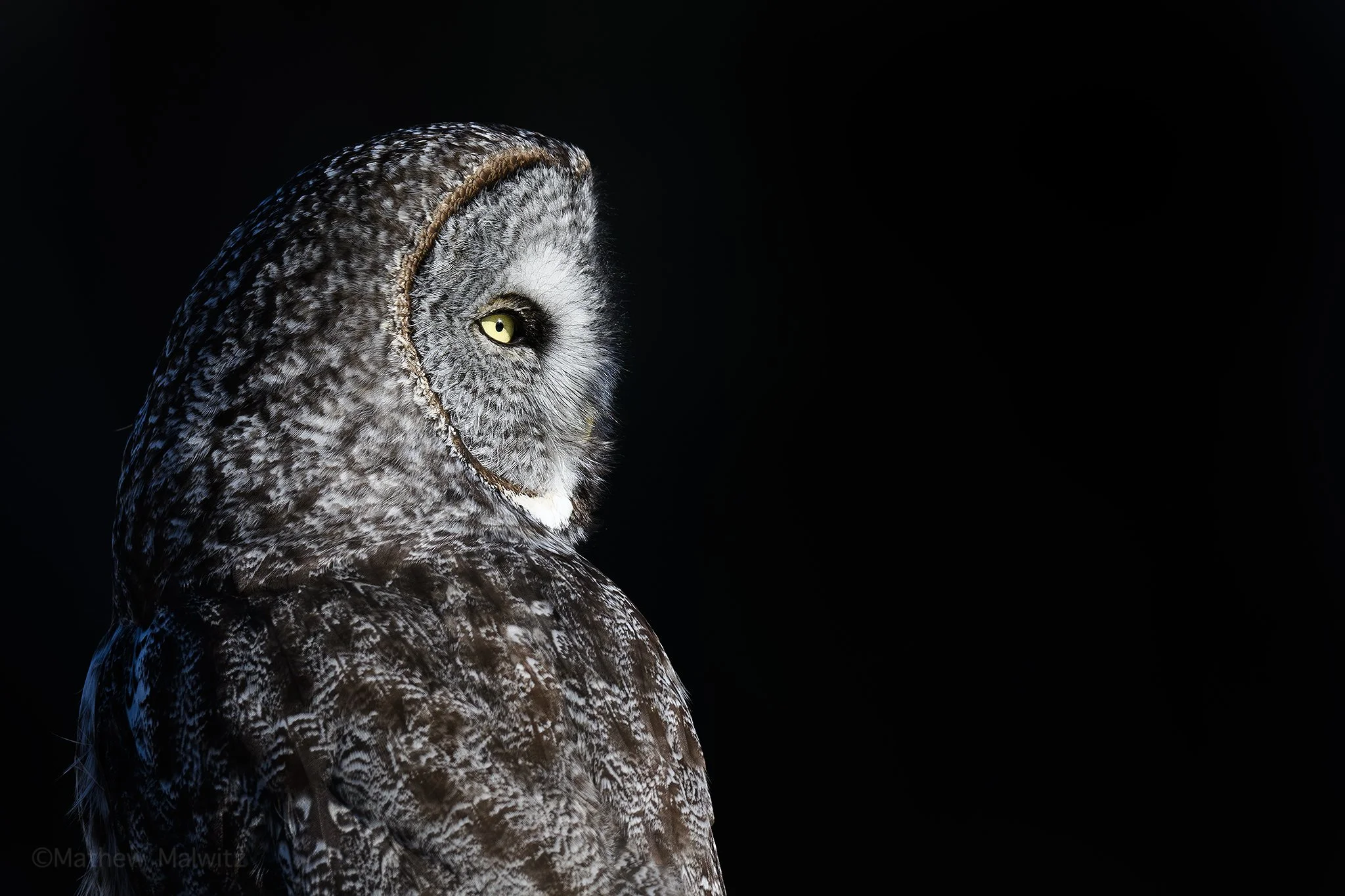 DSC_4904-Enhanced-NR-Edit copy.jpg