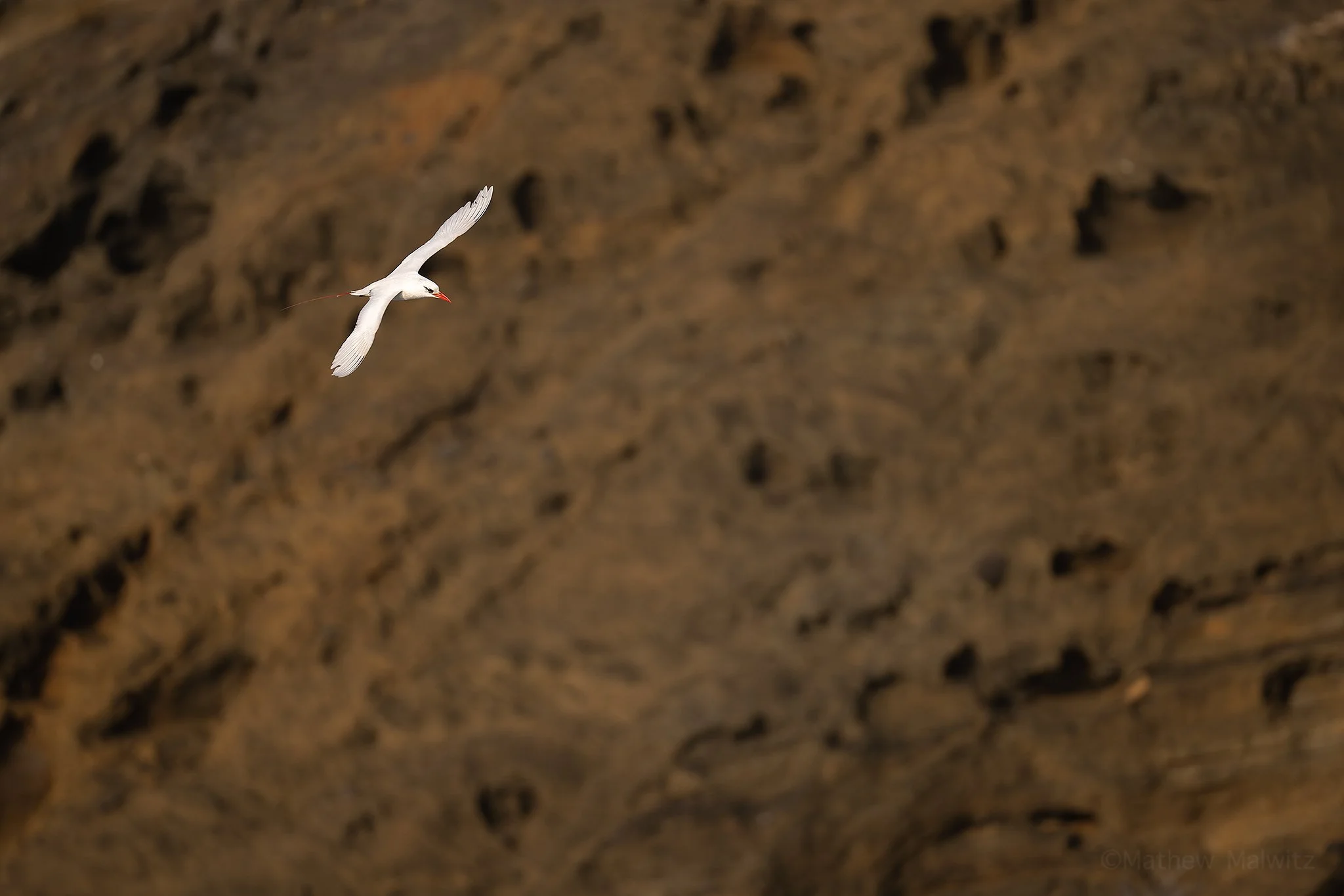 DSC_4020-Enhanced-NR-Edit copy.jpg