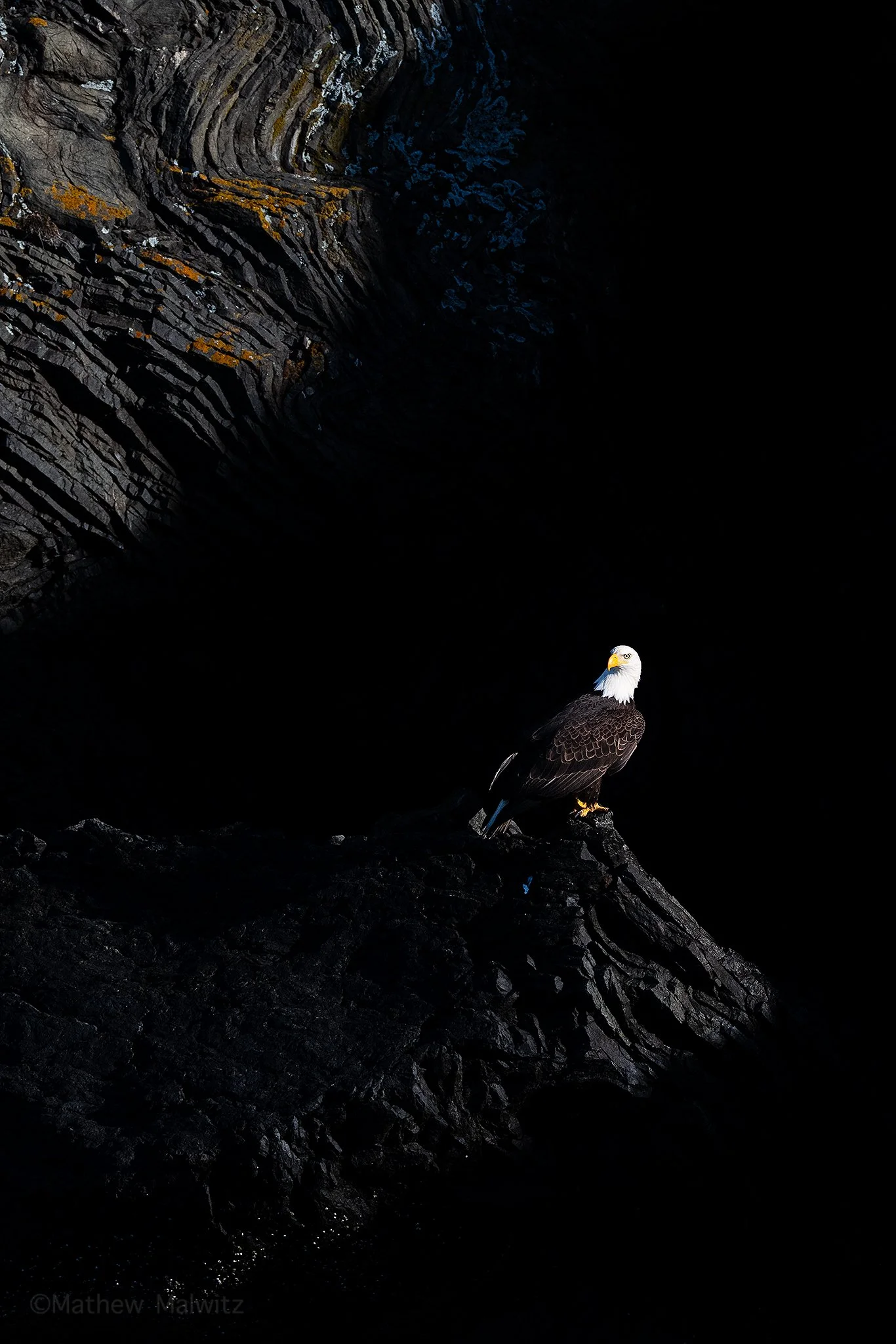 DSC02156-Edit copy.jpg