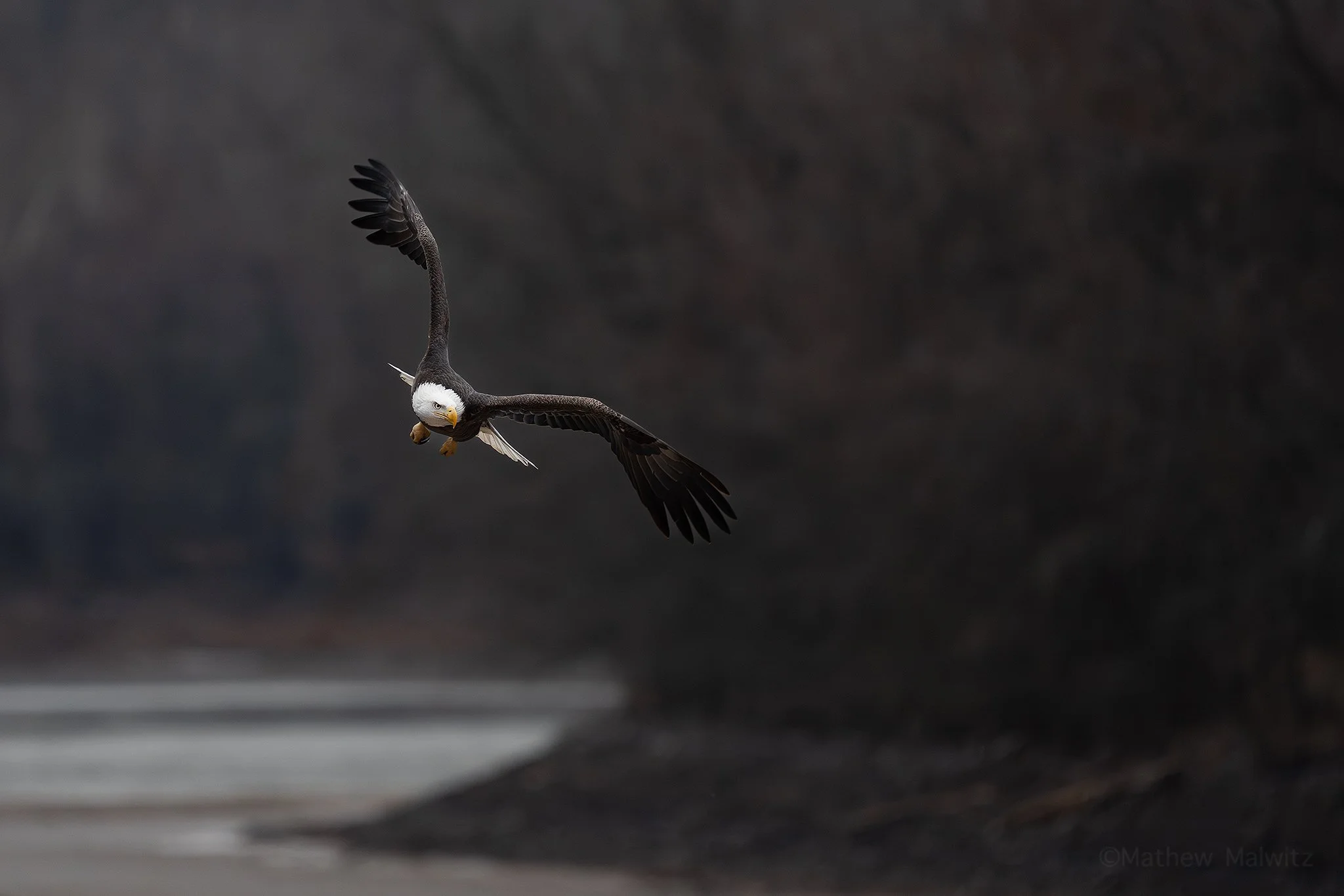 DSC01680-Edit copy.jpg