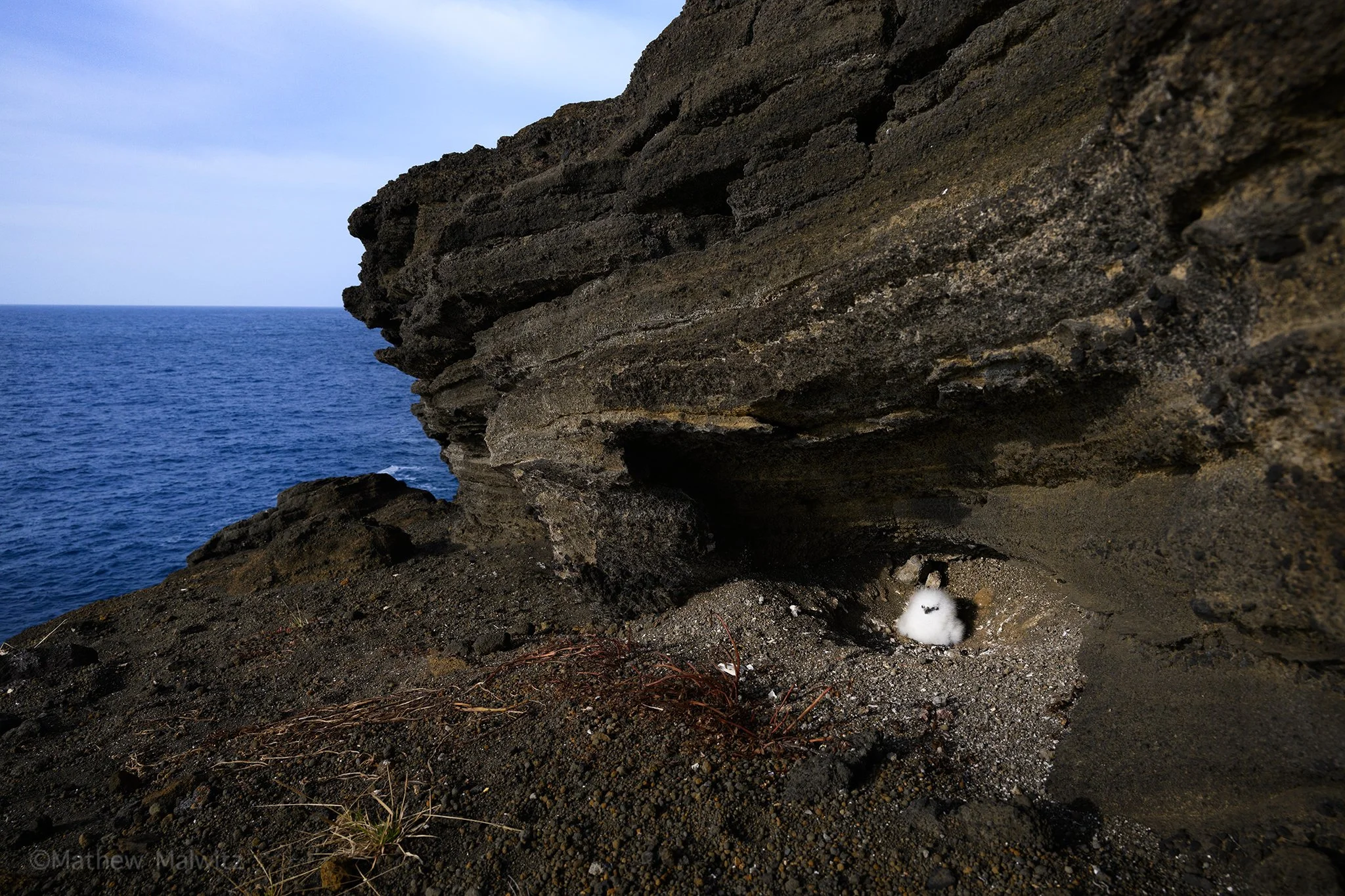 DSC_5976-Edit copy.jpg