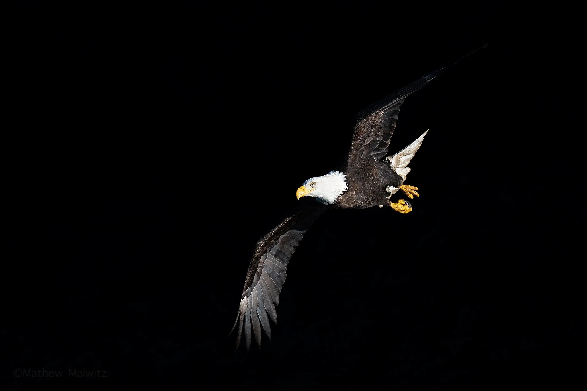 DSC00412-Edit-2 copy.jpg