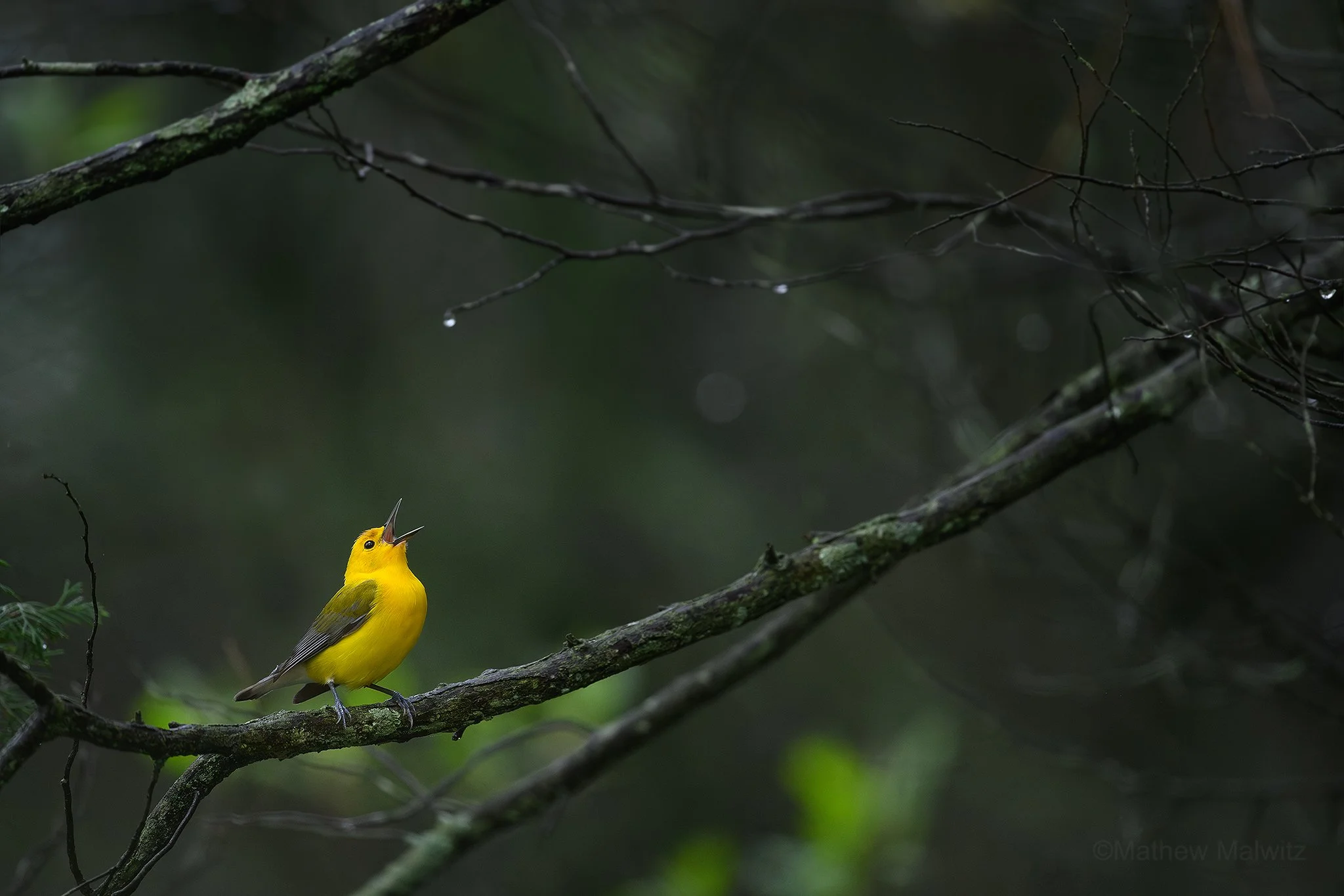 DZ9_0893-Enhanced-NR-Edit copy.jpg