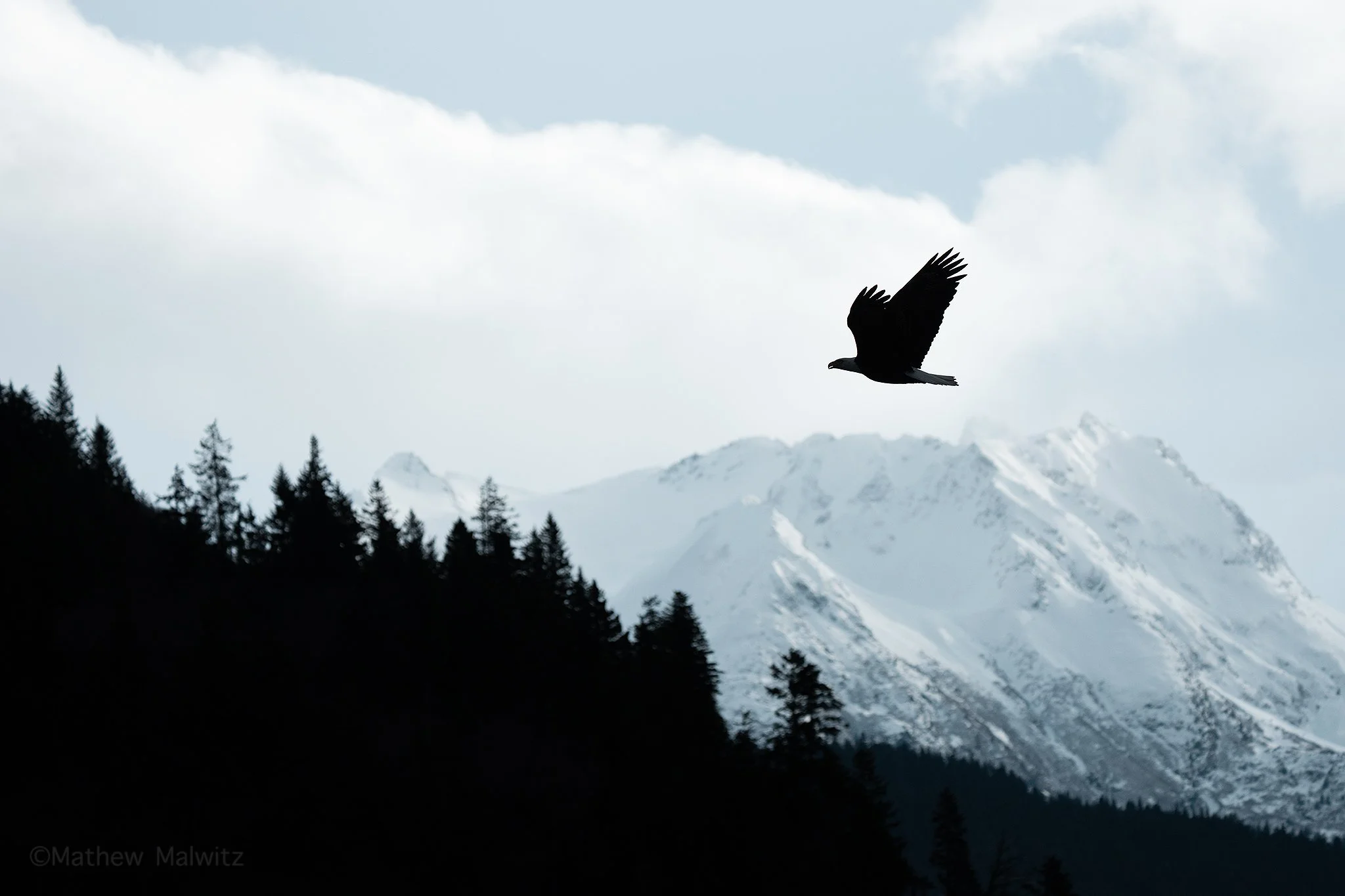 DSC01287-Edit-Edit copy.jpg