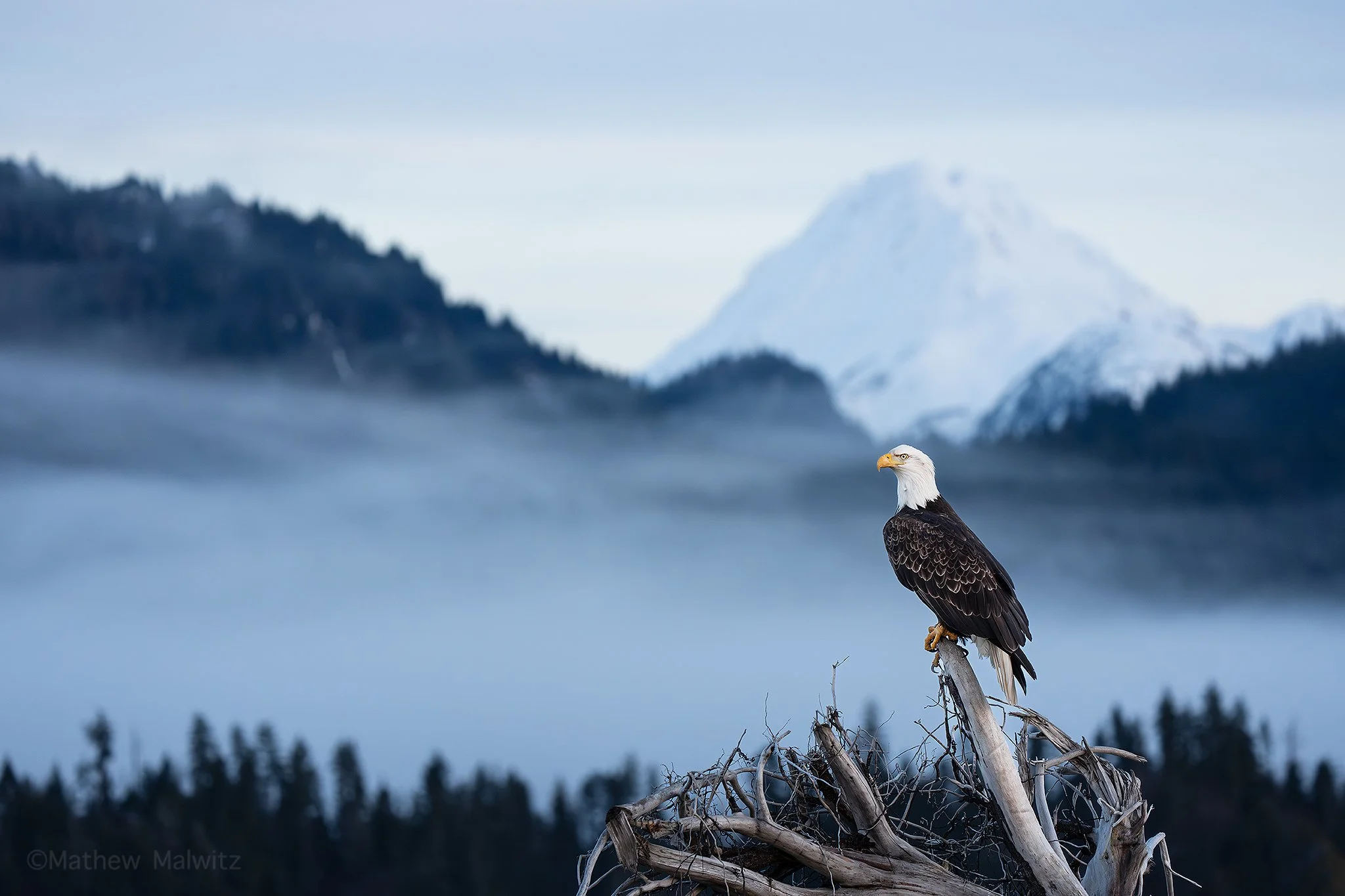 DSC06284-Edit copy.jpg