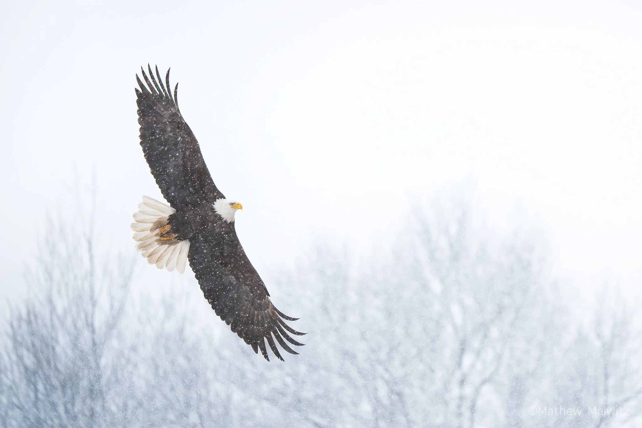 DSC03113-Edit copy.jpg