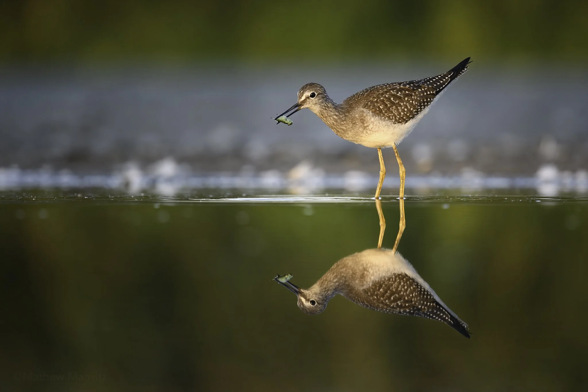 50317119596_725105f902_o (1).jpg