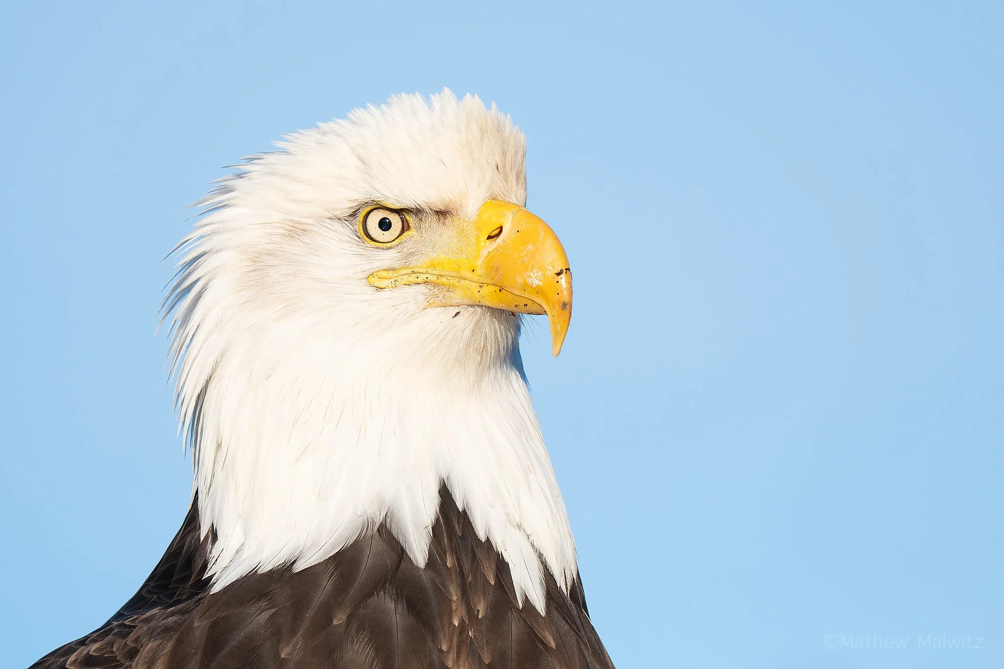 DSC09871-Edit copy.jpg