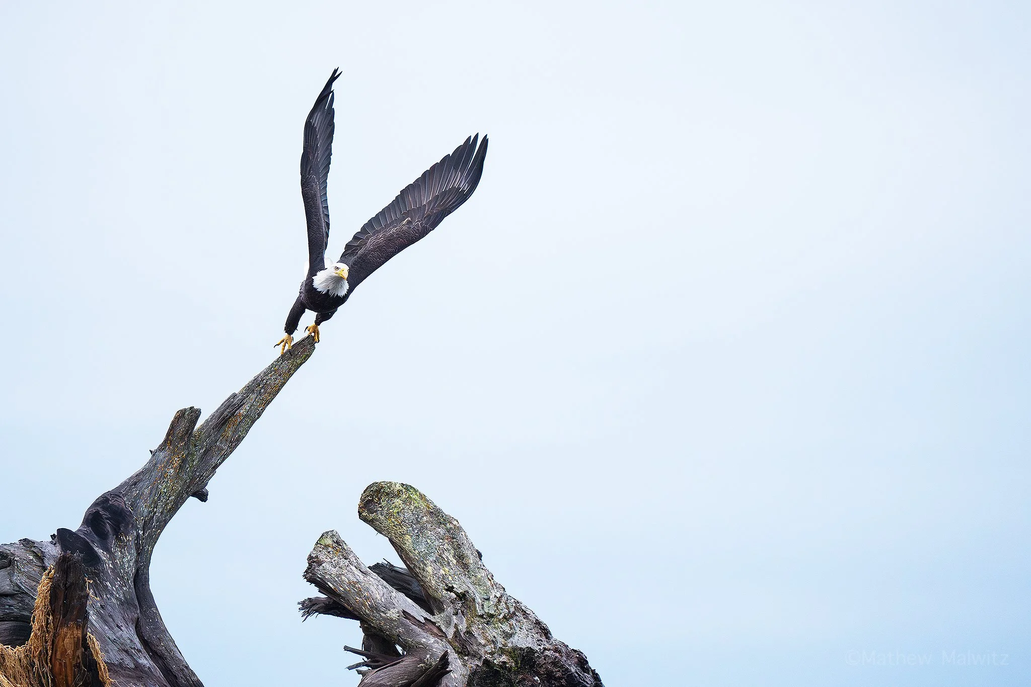 DSC02659-Edit copy.jpg