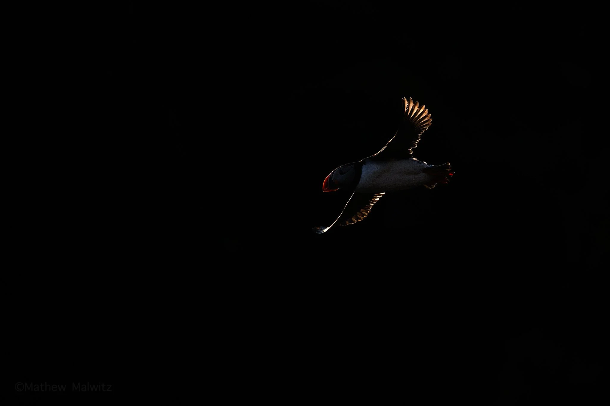 DSC_3032-Edit copy.jpg