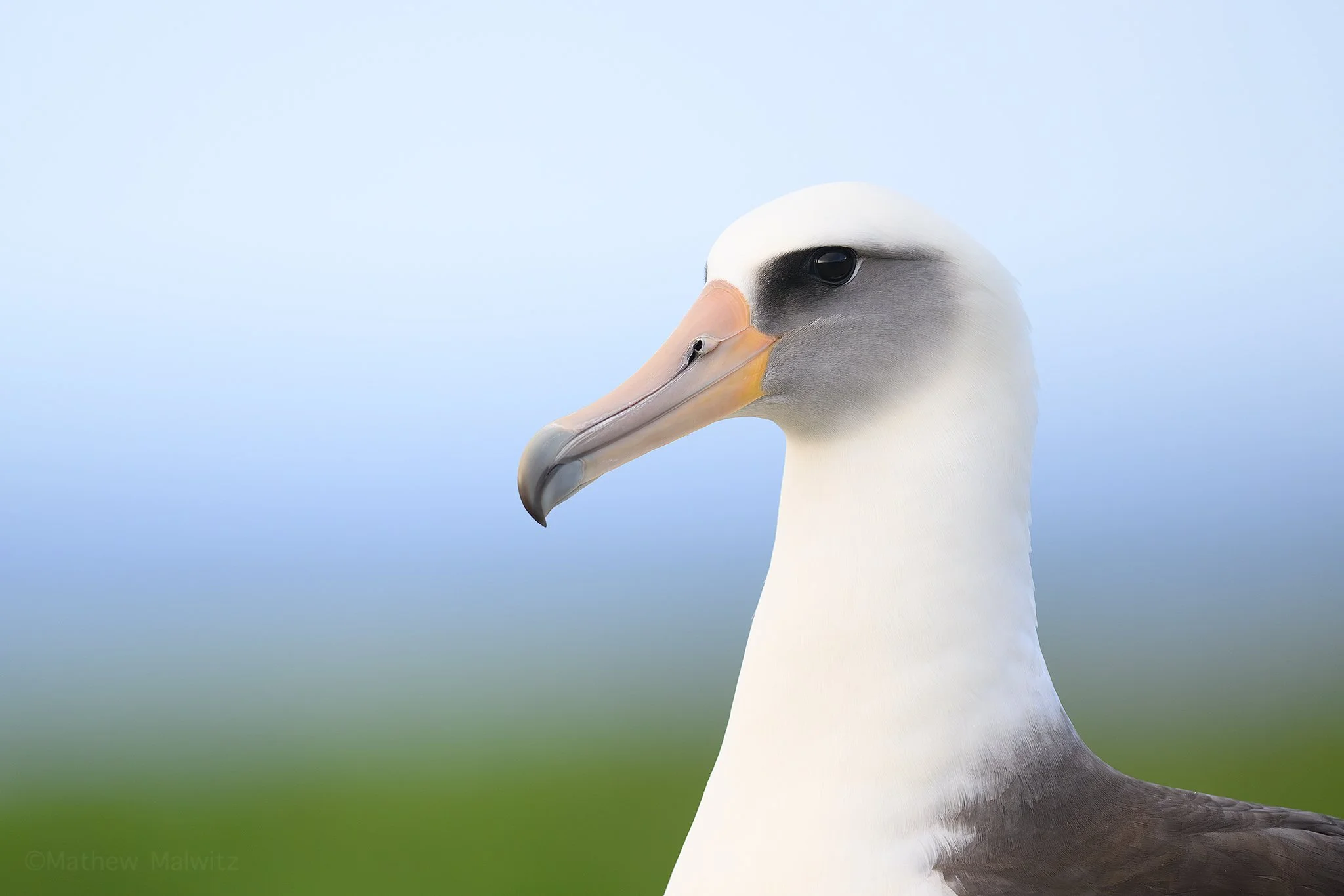 DSC_6963-Enhanced-NR-Edit copy.jpg