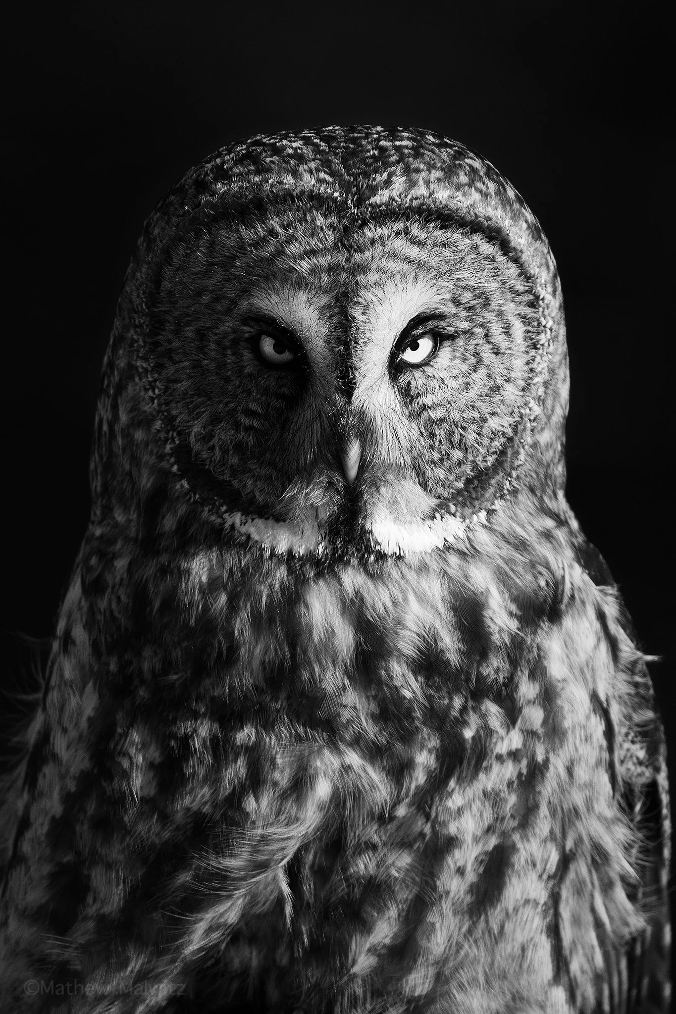 DSC_5723-Edit copy.jpg