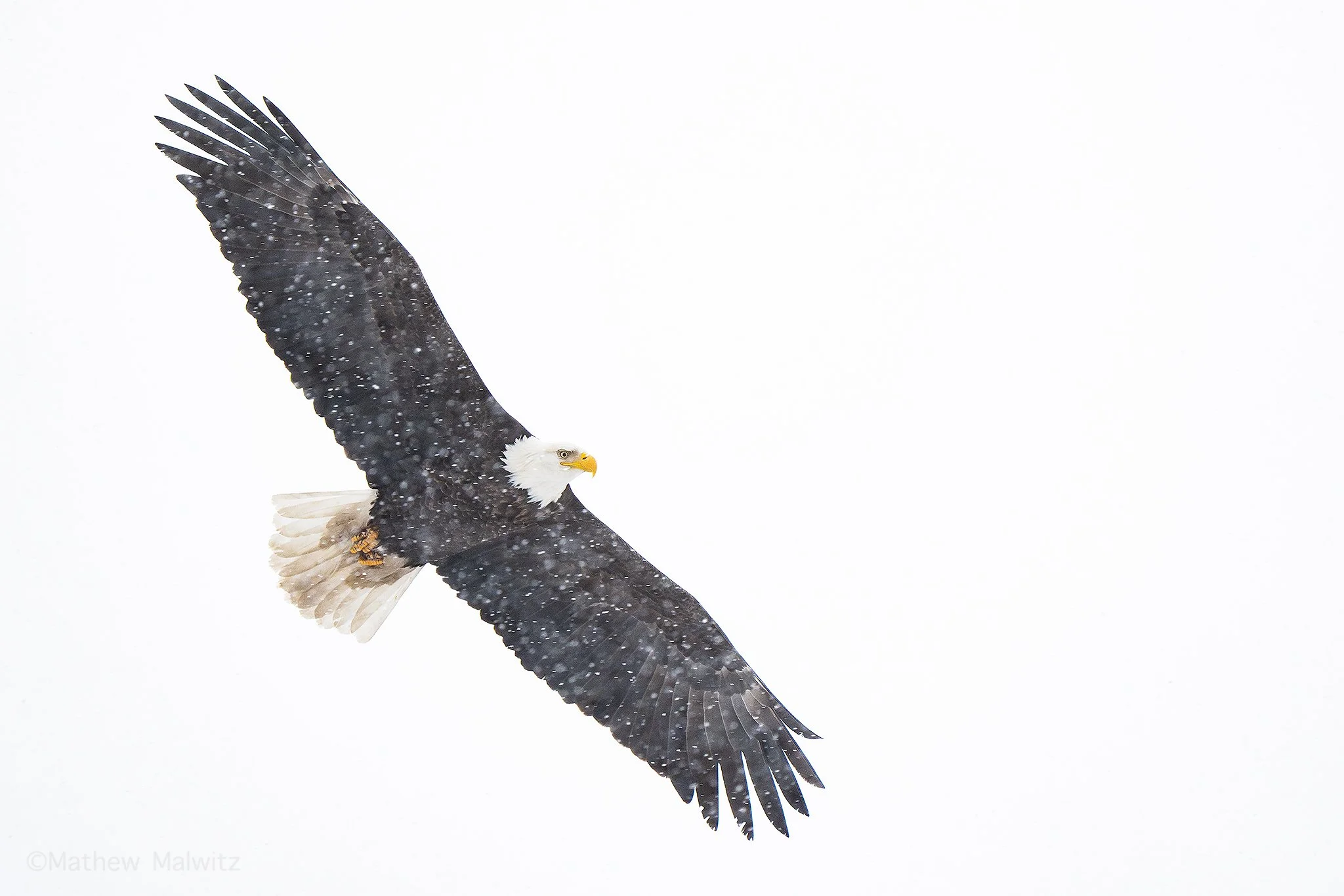 DSC03098-Edit copy.jpg