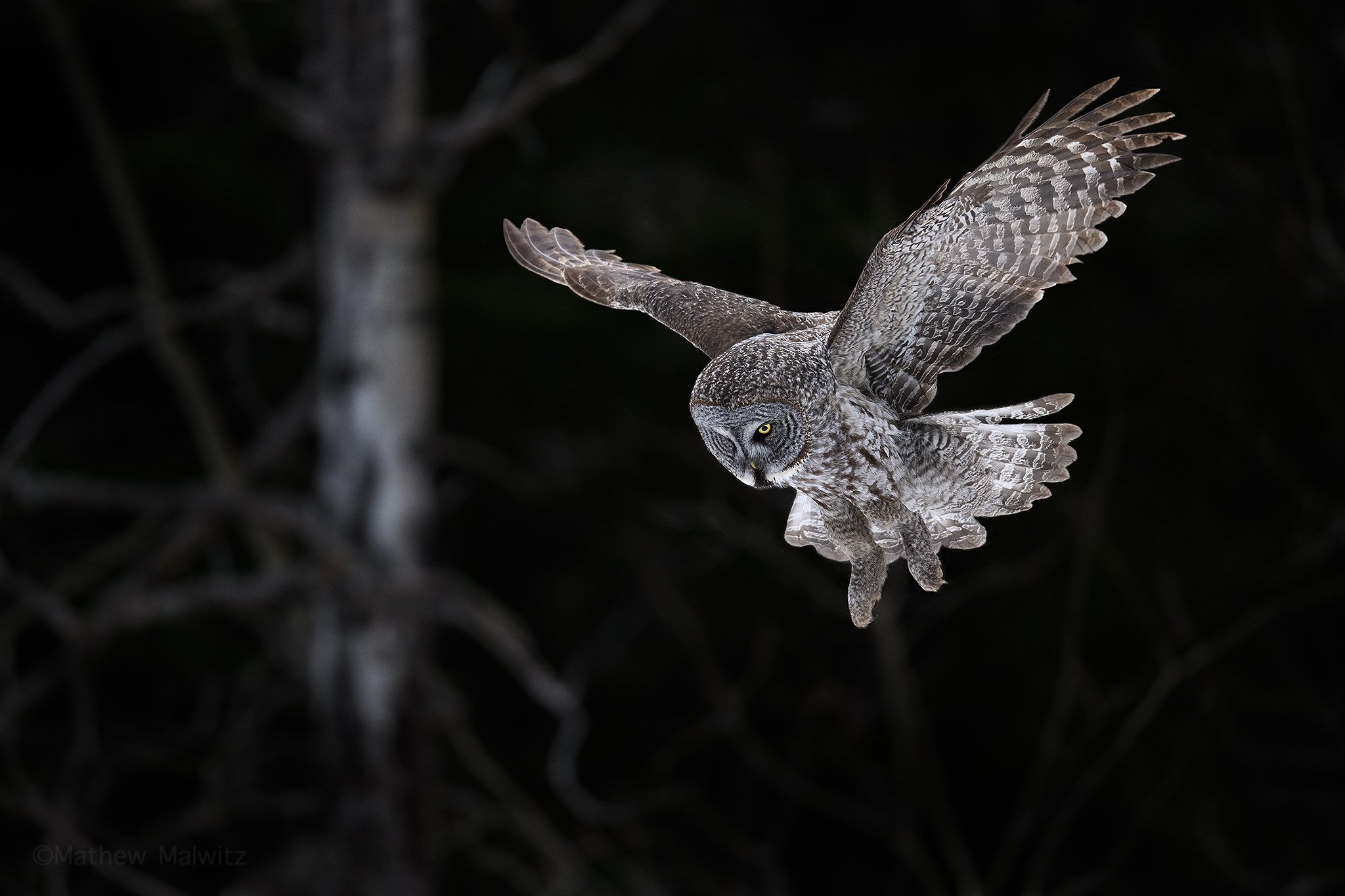 DSC_8022-Edit copy.jpg