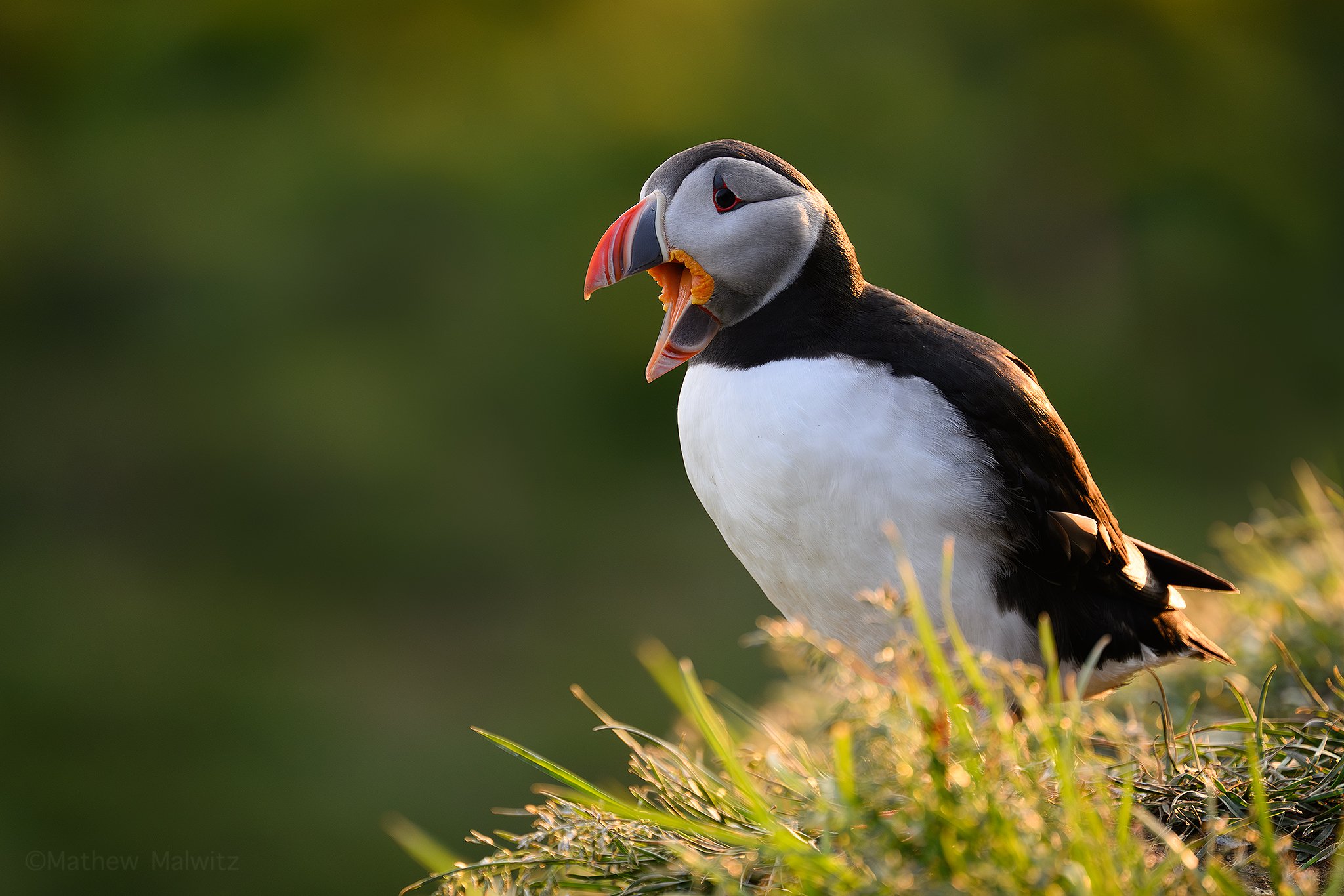 DSC_4664-Edit copy.jpg