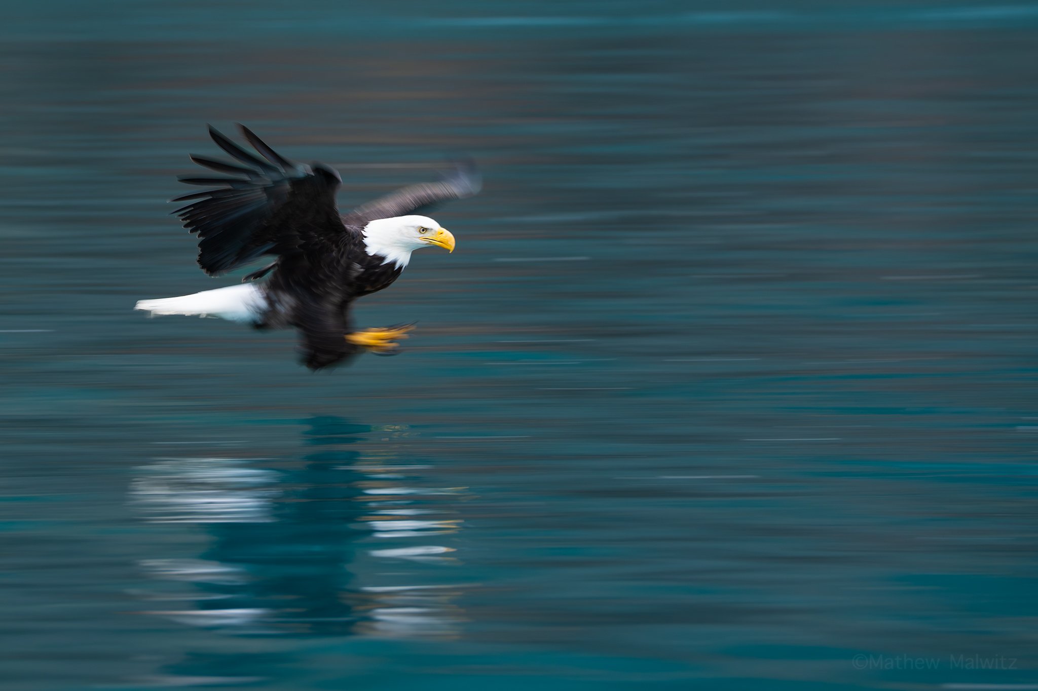 DSC06186-Edit-Edit copy.jpg