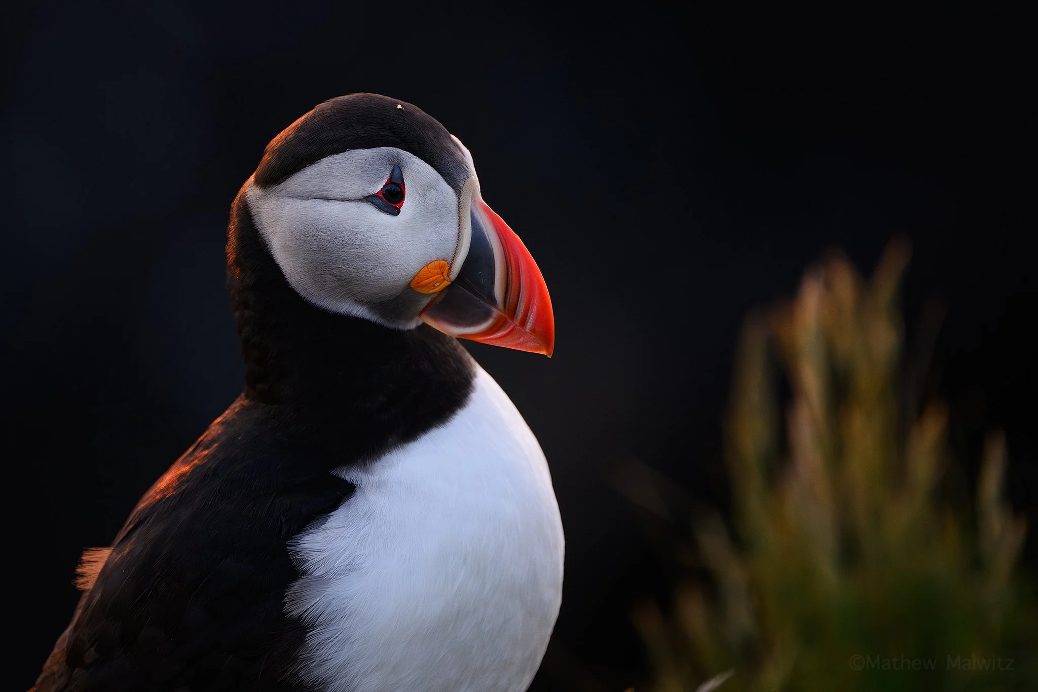 DSC_8155-Enhanced-NR-Edit copy.jpg