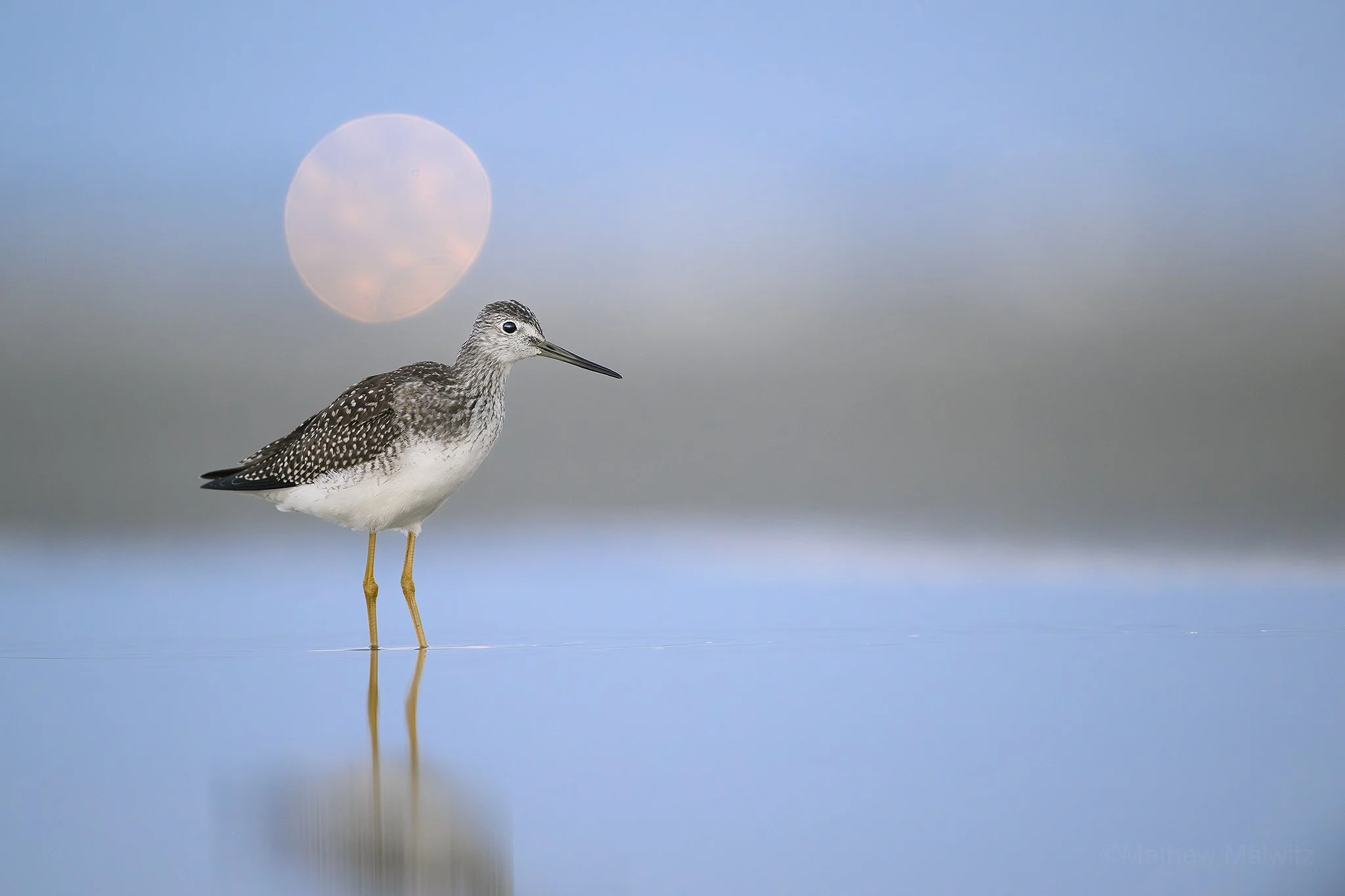 DZ9_7285-Enhanced-NR copy.jpg