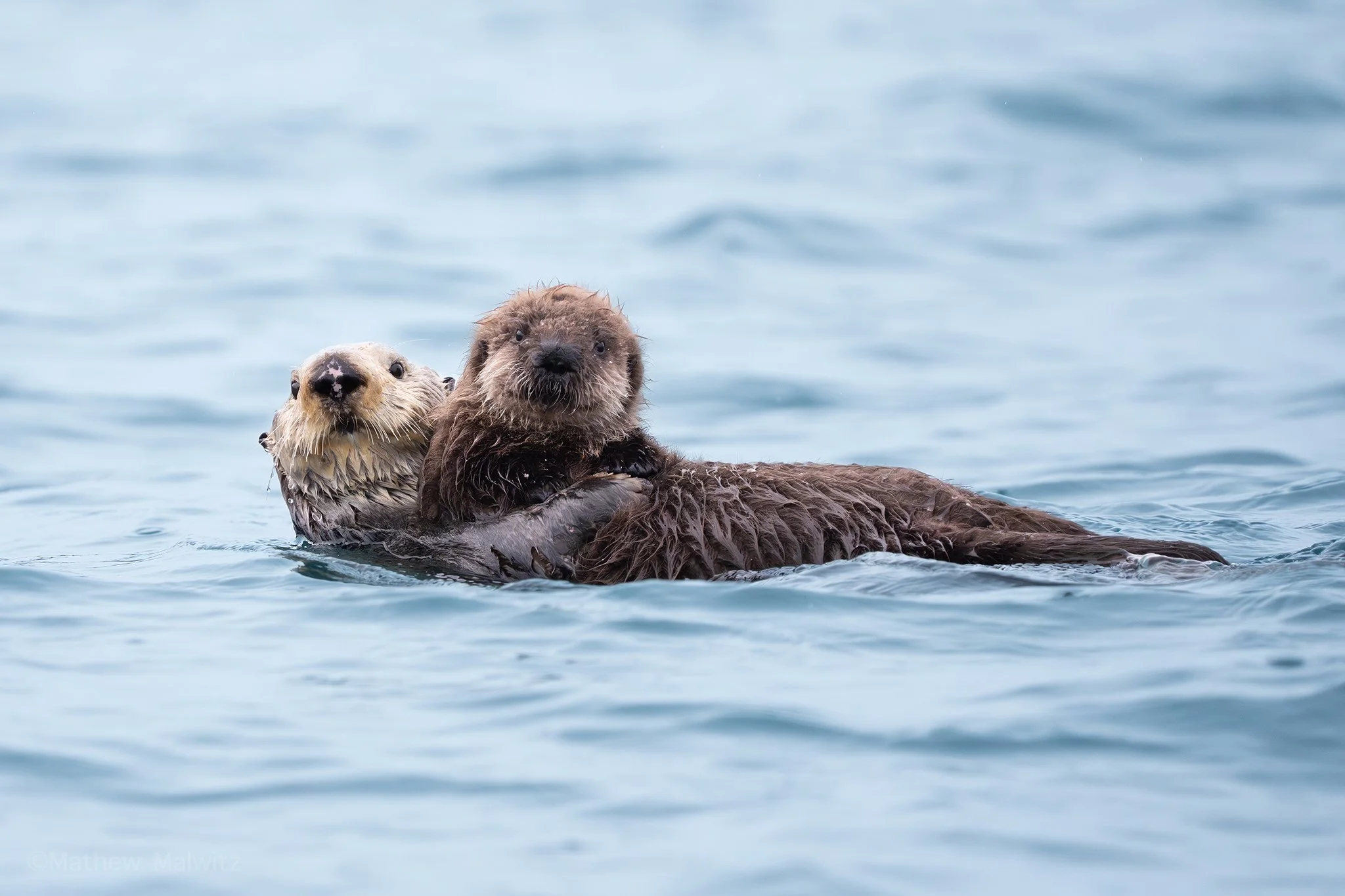 DSC09384-Edit copy.jpg