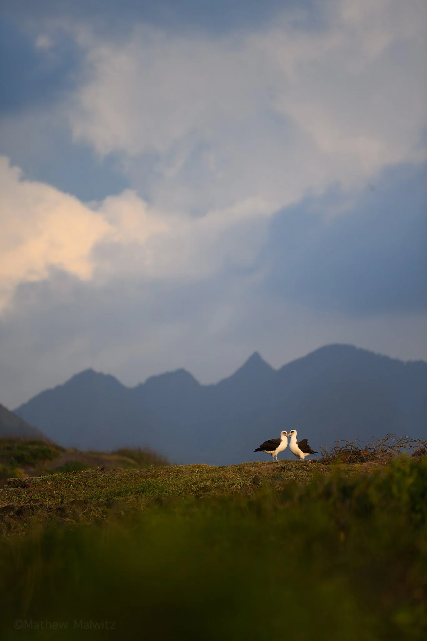 DSC_1800-Enhanced-NR-Edit copy.jpg