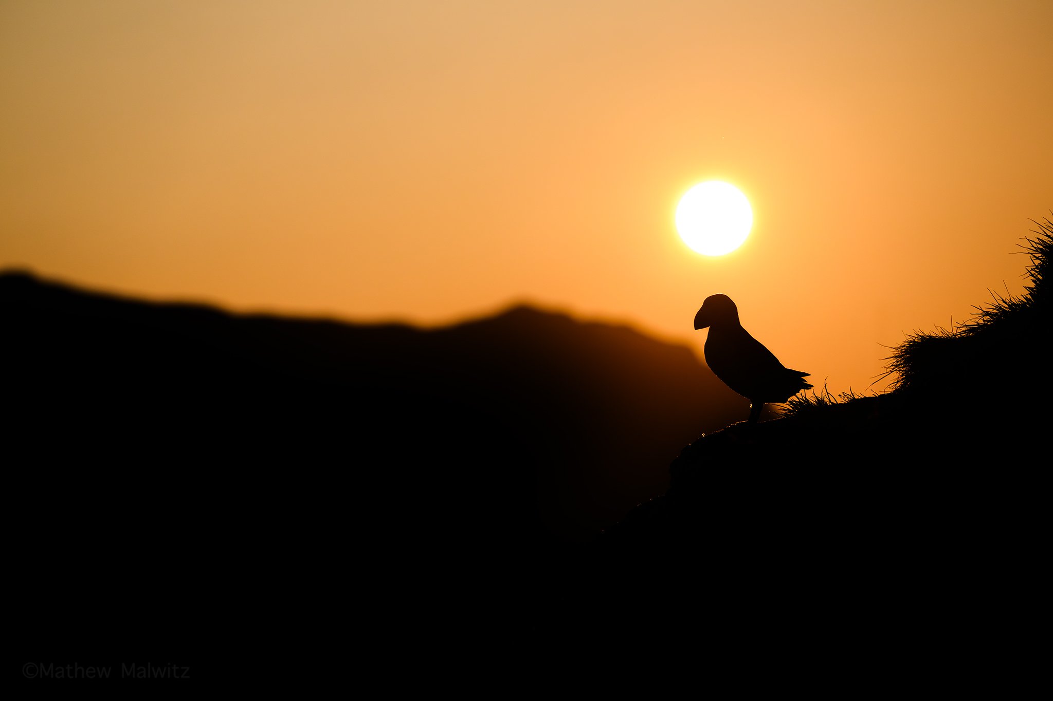 DSC_6507-Enhanced-NR-Edit copy.jpg