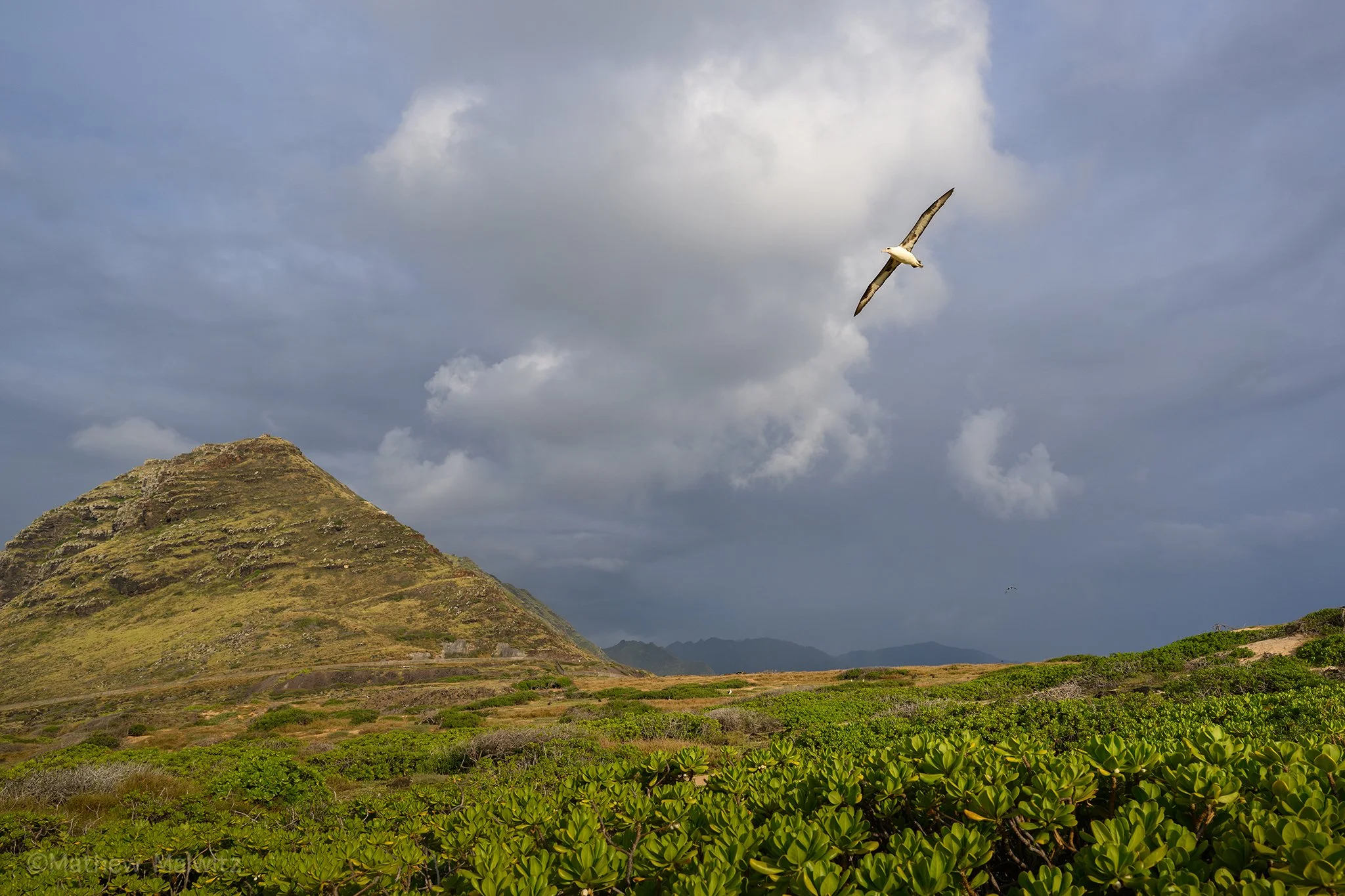 DSC_2402-Enhanced-NR-Edit copy.jpg