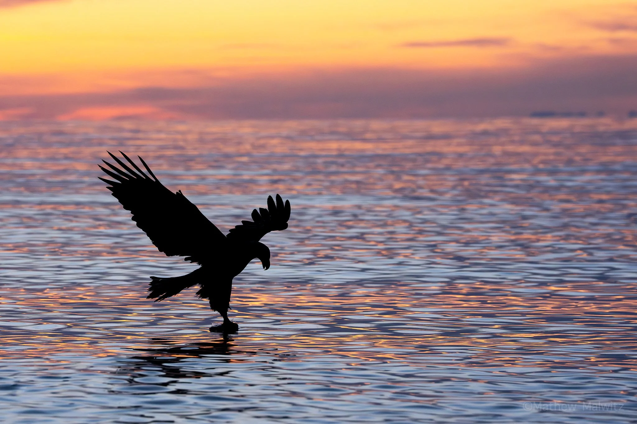 DSC00734-Edit copy.jpg