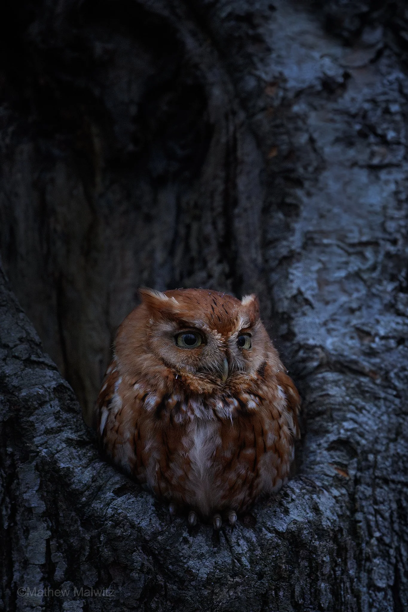 DZ9_1784-Enhanced-NR-Edit copy.jpg