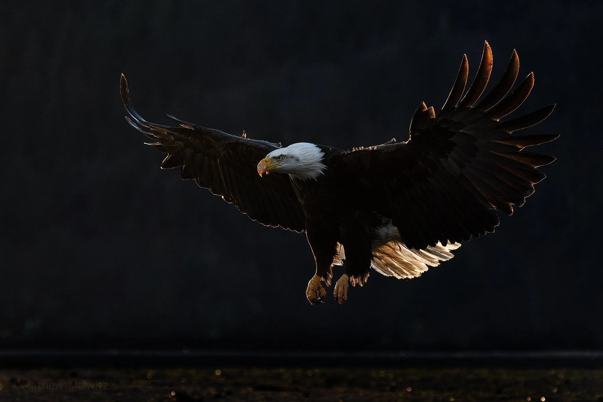 DSC07548-Edit copy.jpg