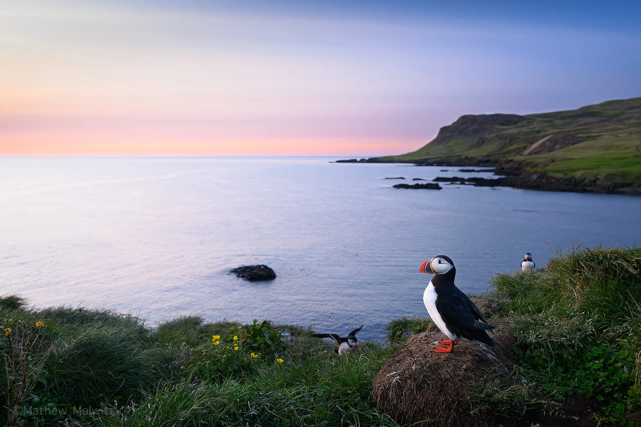 DSC_9148-Enhanced-NR-Edit copy.jpg