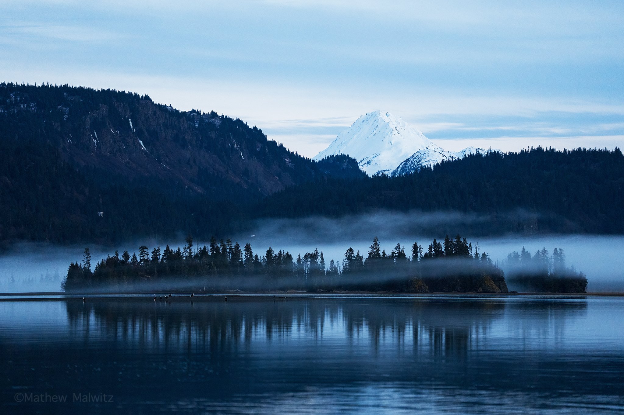 DSC09355-Edit-Edit copy.jpg