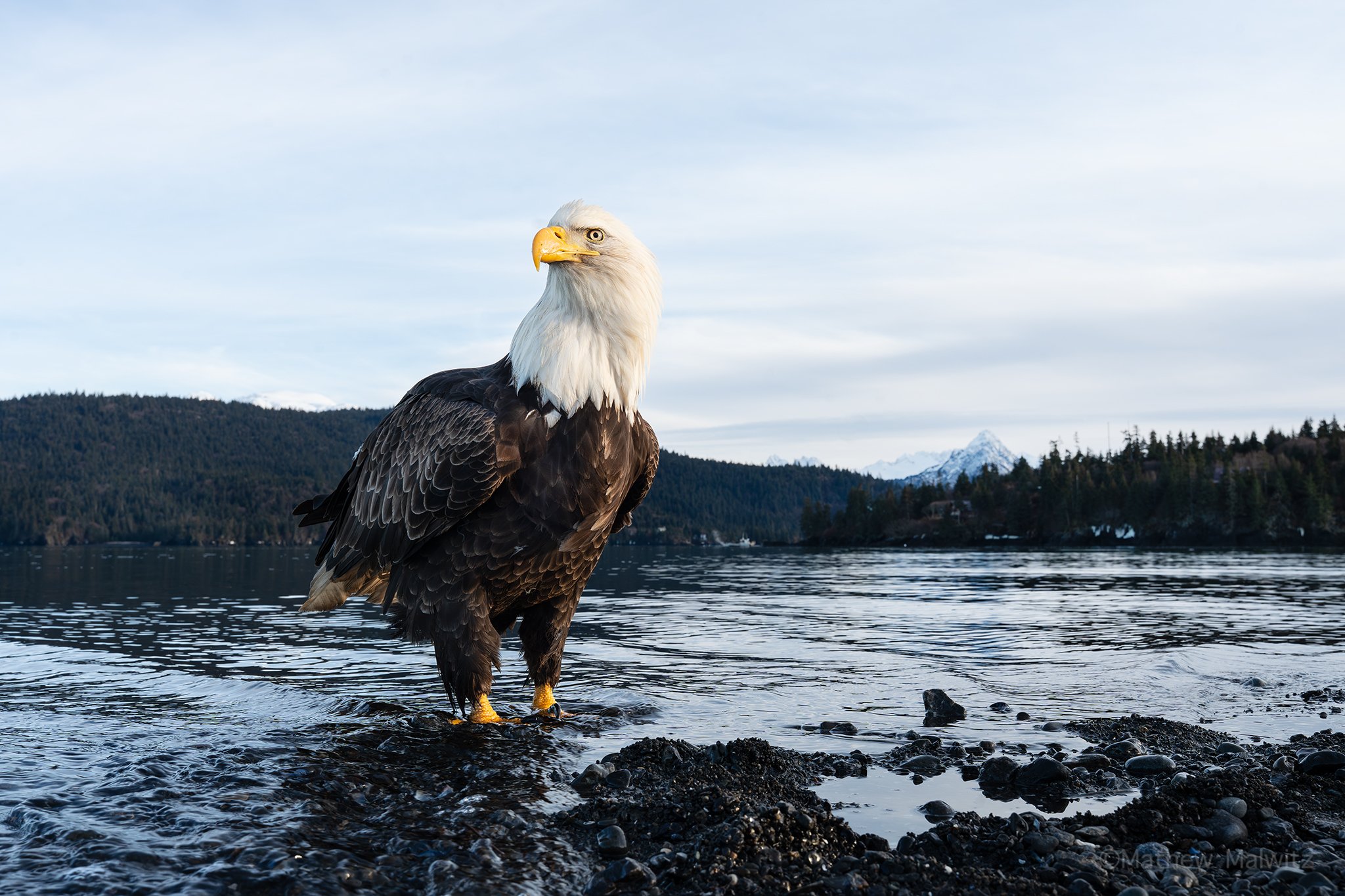 DSC04356-Edit copy.jpg