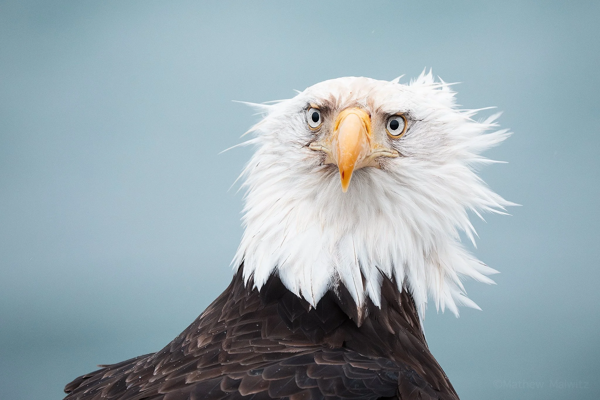 DSC06443-Enhanced-NR-Edit copy.jpg