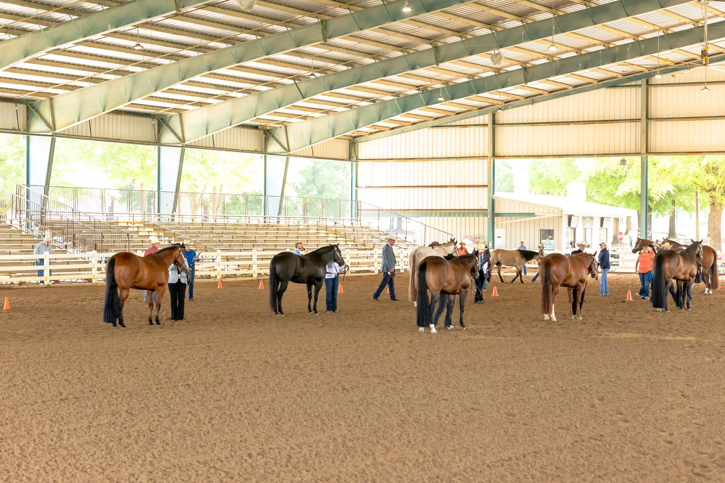 News — Horseman's Quarter Horse Association