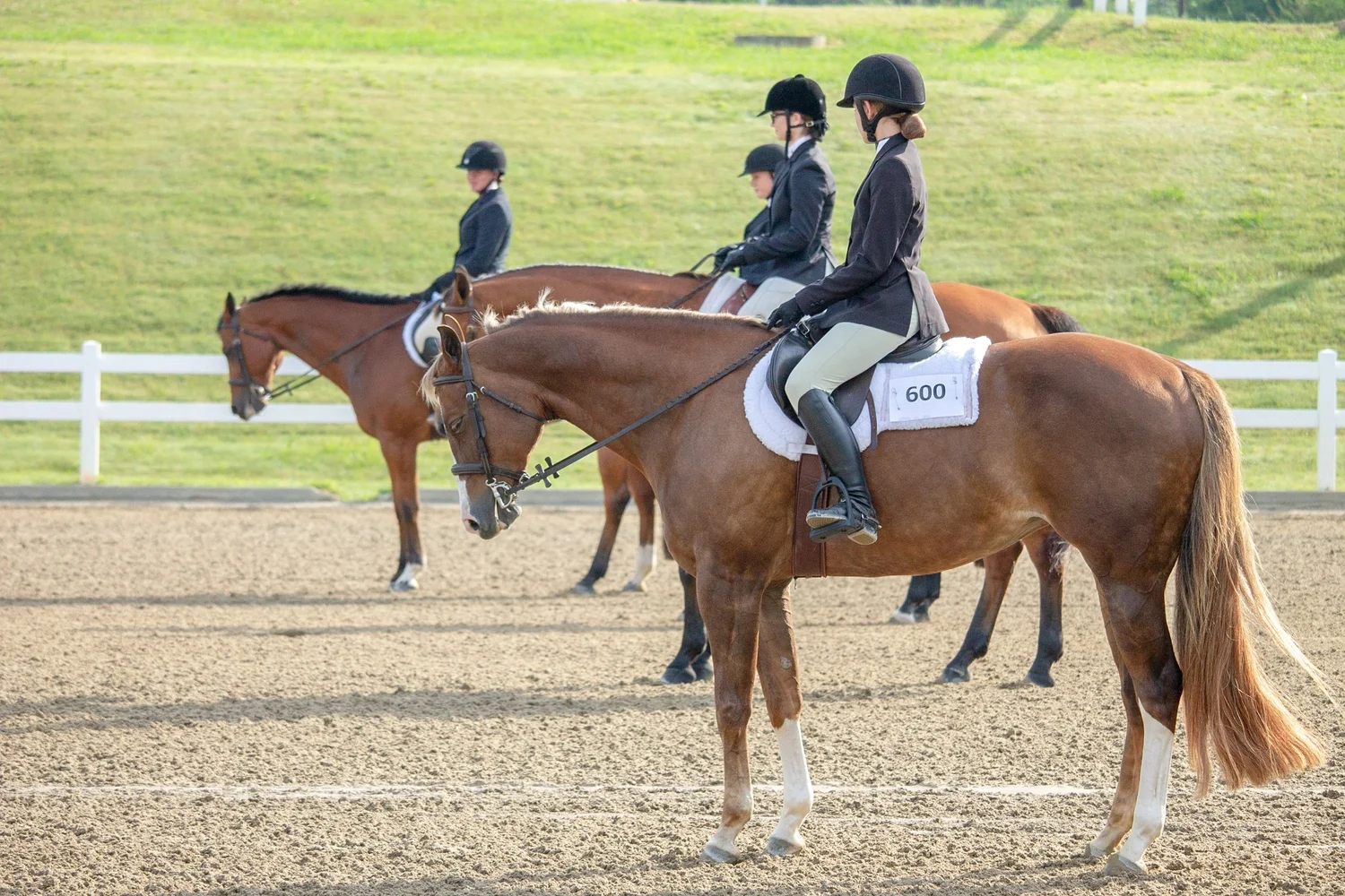 Horseman's Quarter Horse Association