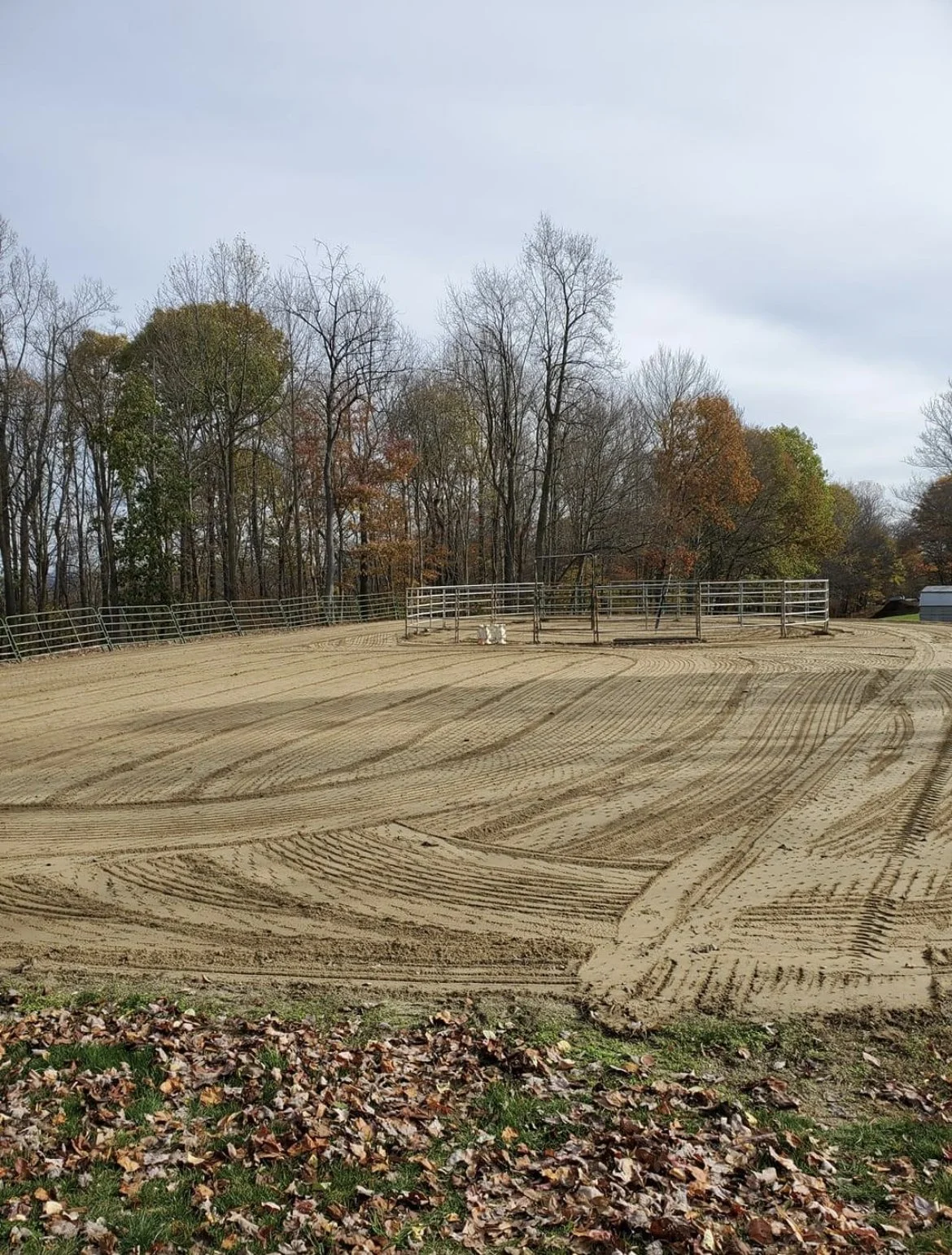 Shawn Alter Quarter Horses