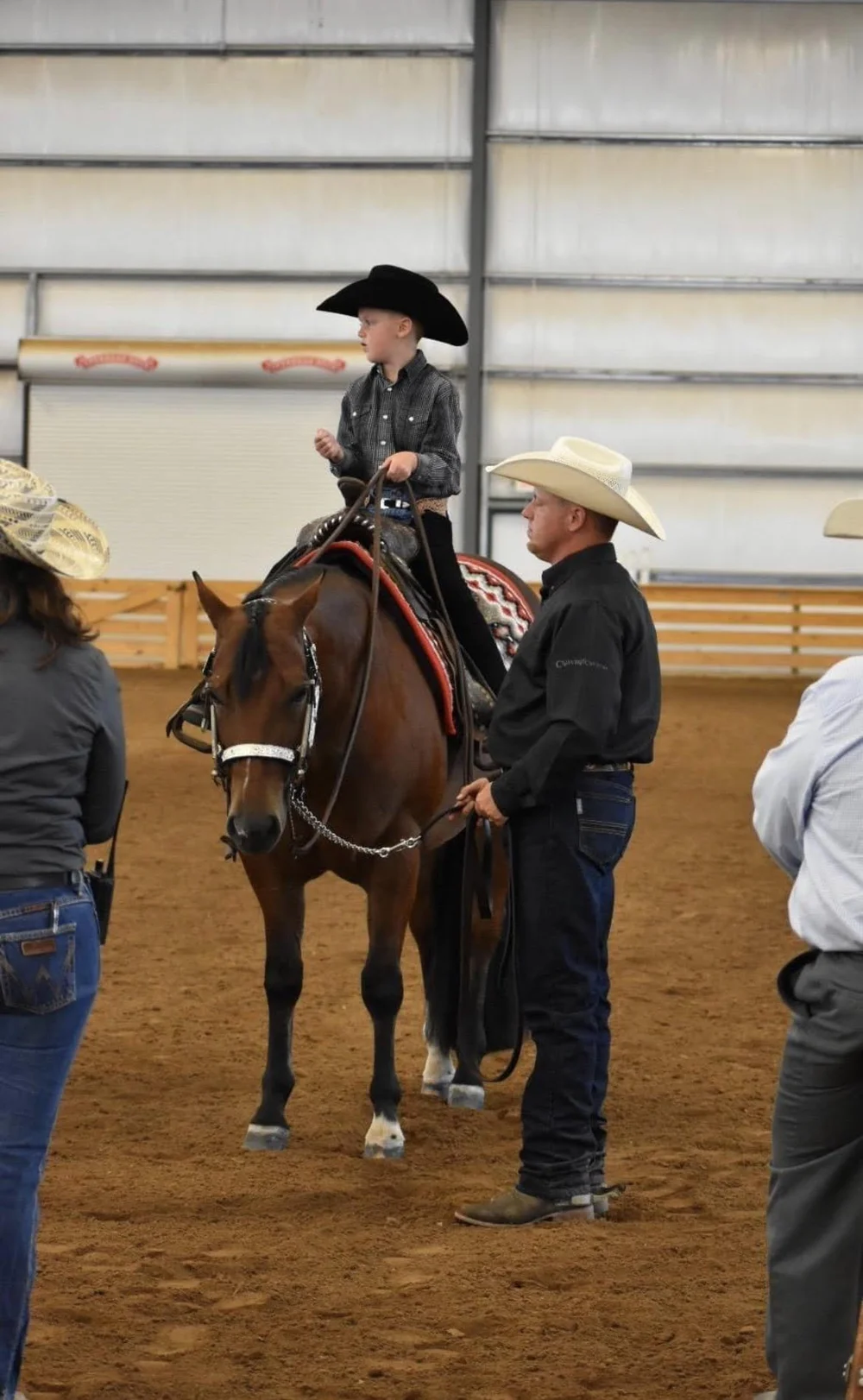 Gallery 1 — Shawn Alter Quarter Horses