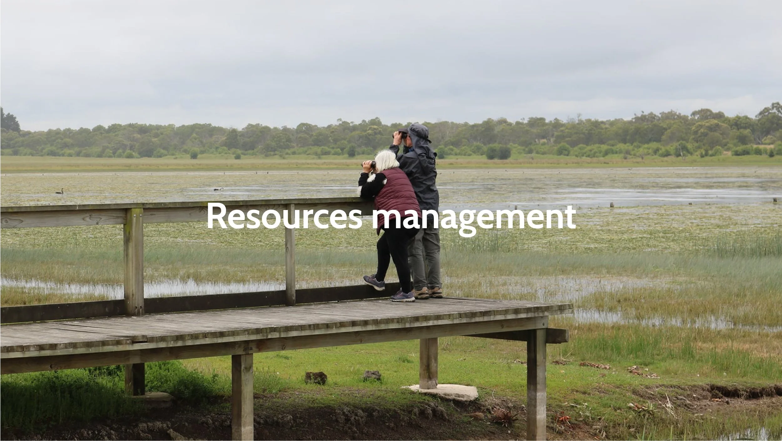 Pristine wetlands stretch before two birdwatchers with binoculars