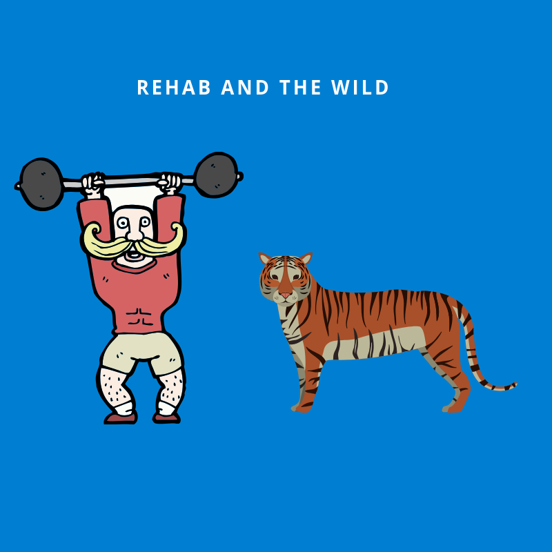 5 Strength Exercises for a Desert Island