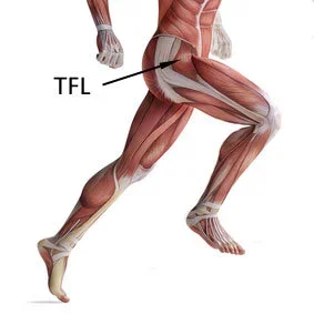      
  

 
  
  
    
    
      
        
        
        
        
               

        
        
        
      
    
  
  
    



  
 


   
  
 


    
  

 
  
     

 
@import url('https://fonts.googleapis.com/css2?family=Fraunces:ital,