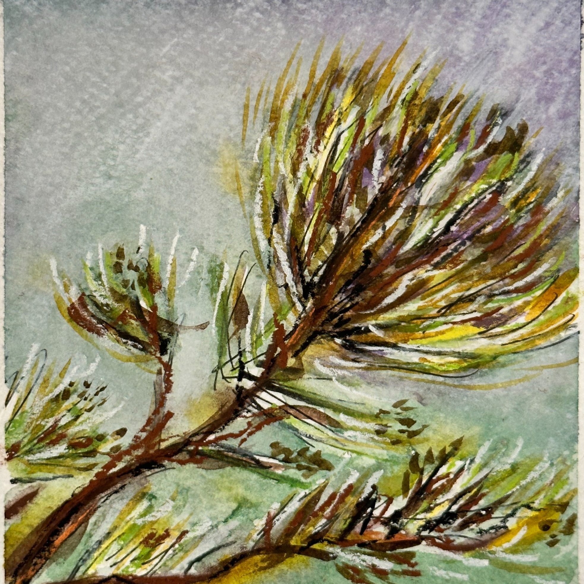 Flowering%2BNitive.%2Bwatercolour%2Bon%2B300gsm%2Bpaper.%2B14x14cm%2B%252425-.jpg