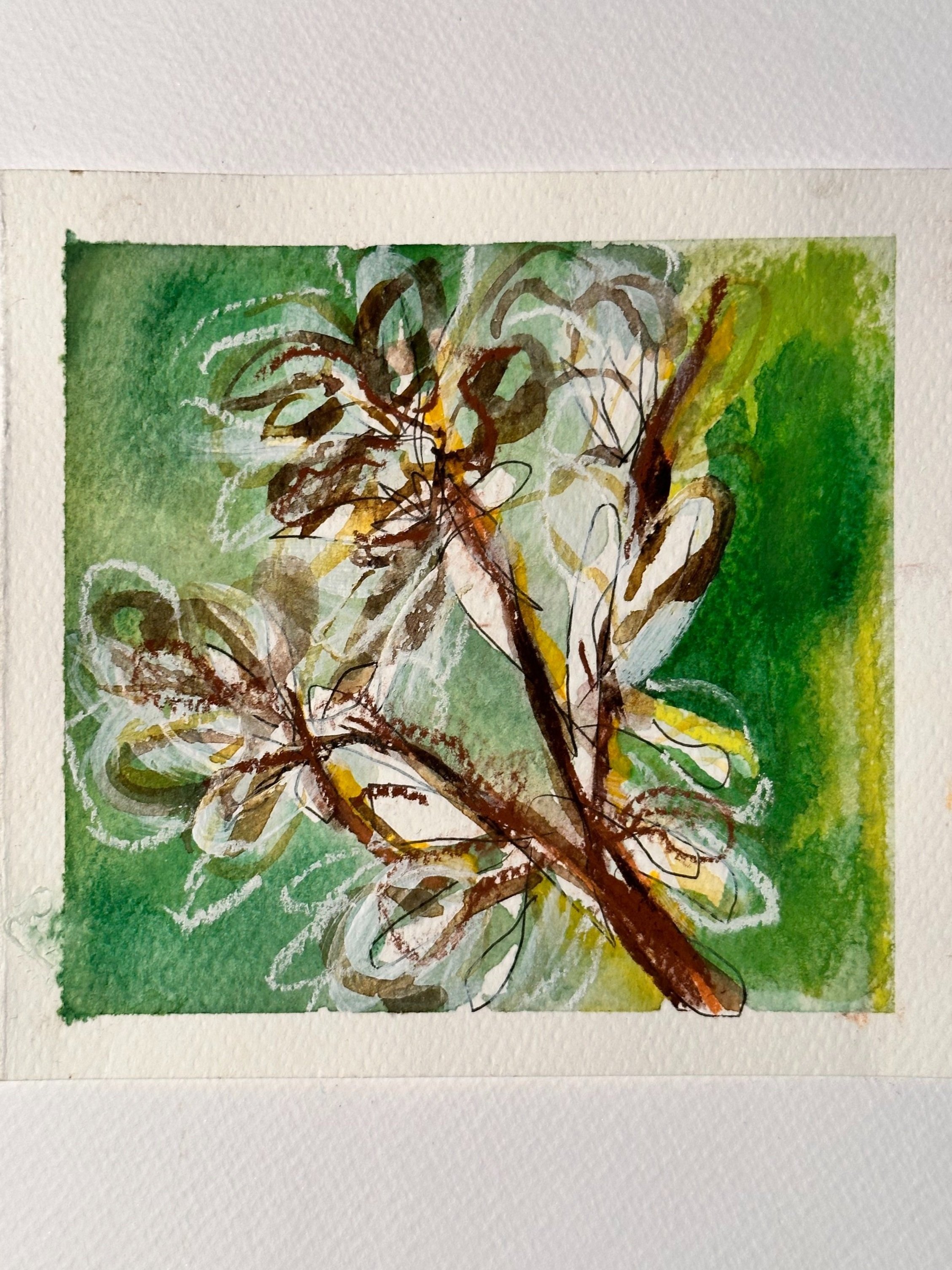 Flowering%2Bnative%2B2.%2B14x14cm.%2Bwatercolor%2Bon%2B300gsm%2Bpaper.%2B%252420.jpg