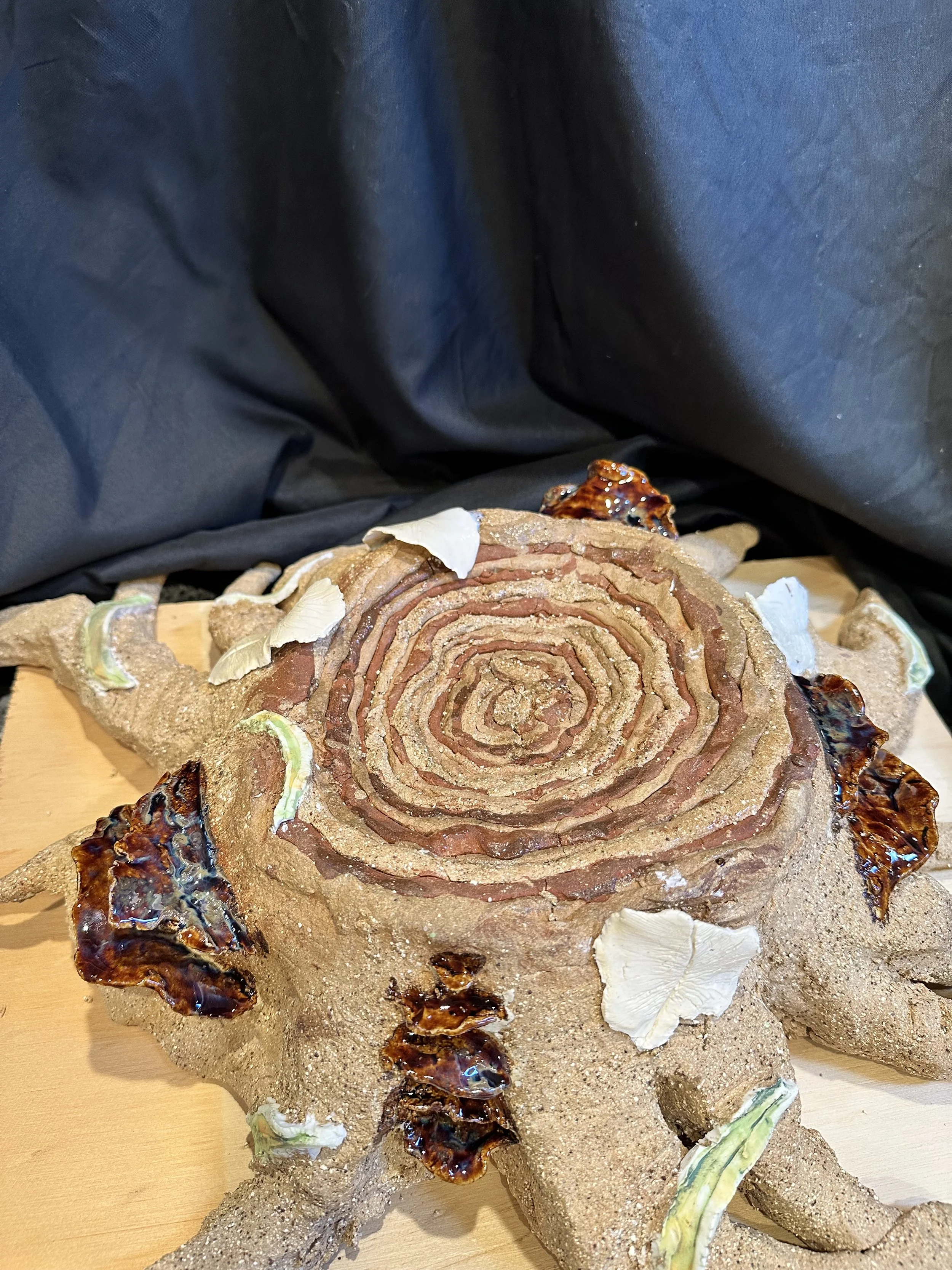 Holly Harris age 15 Ceramic tree 55x60x20cm.JPG