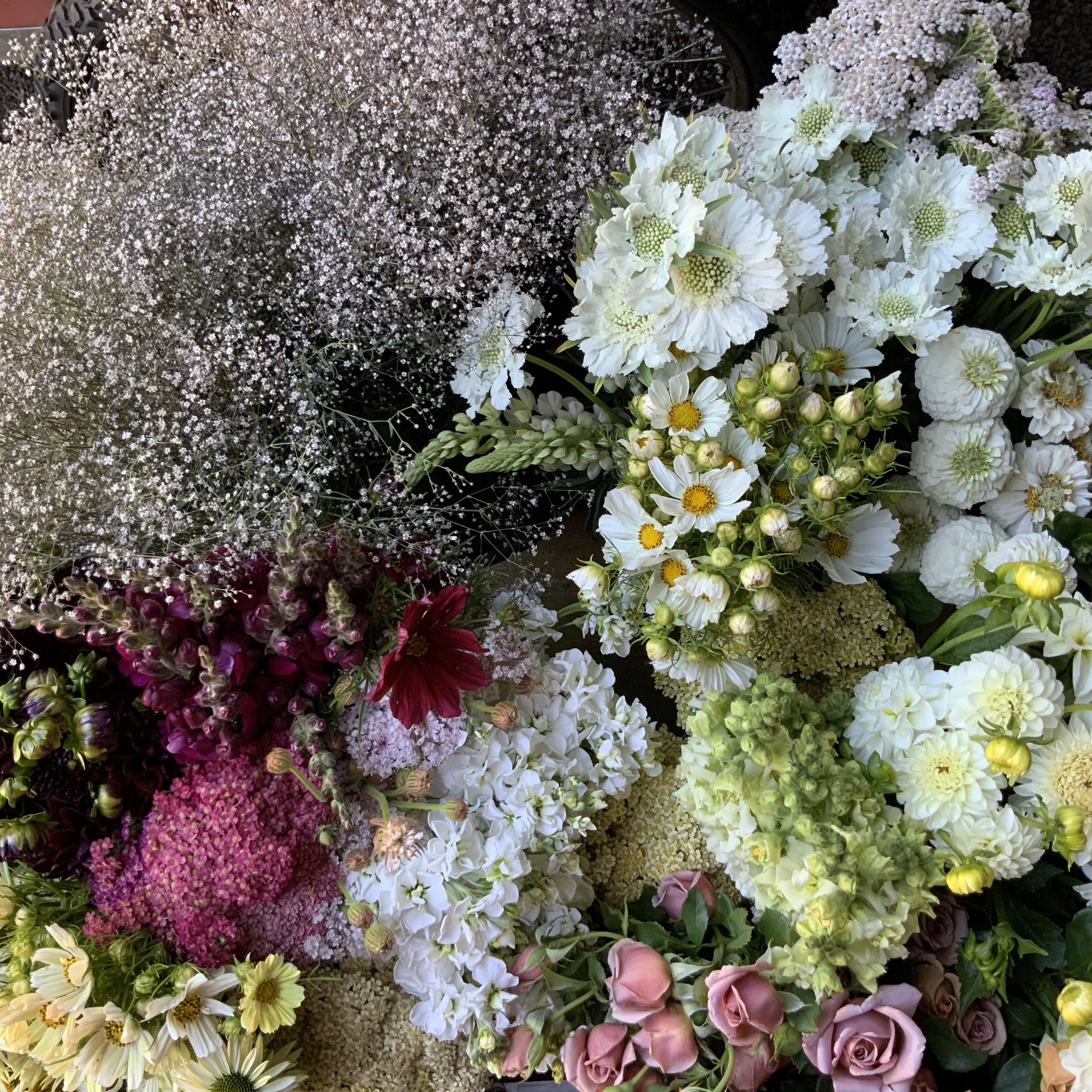 How to DIY Your Wedding Flowers in Bellingham