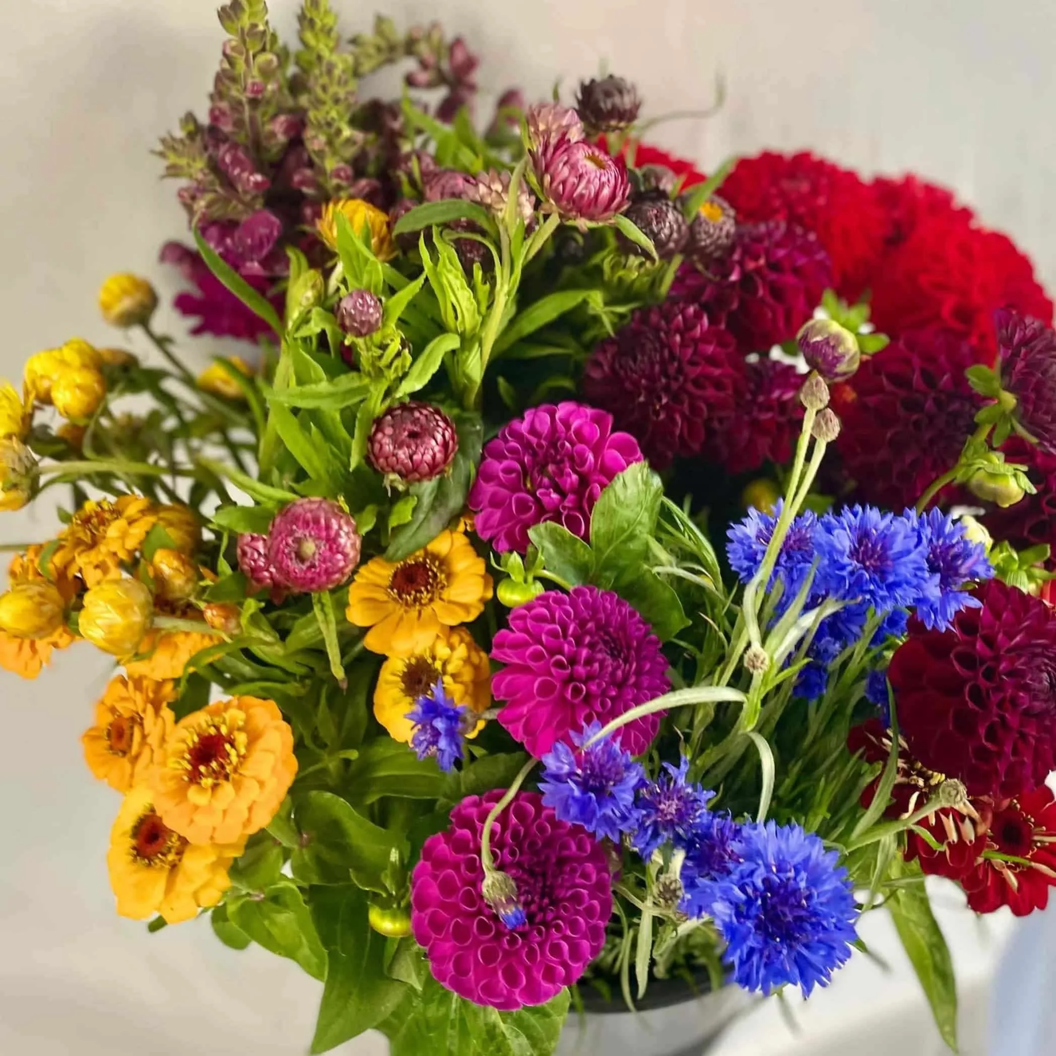 bulk%2Bflower%2Bbucket_compressed_compressed.jpg