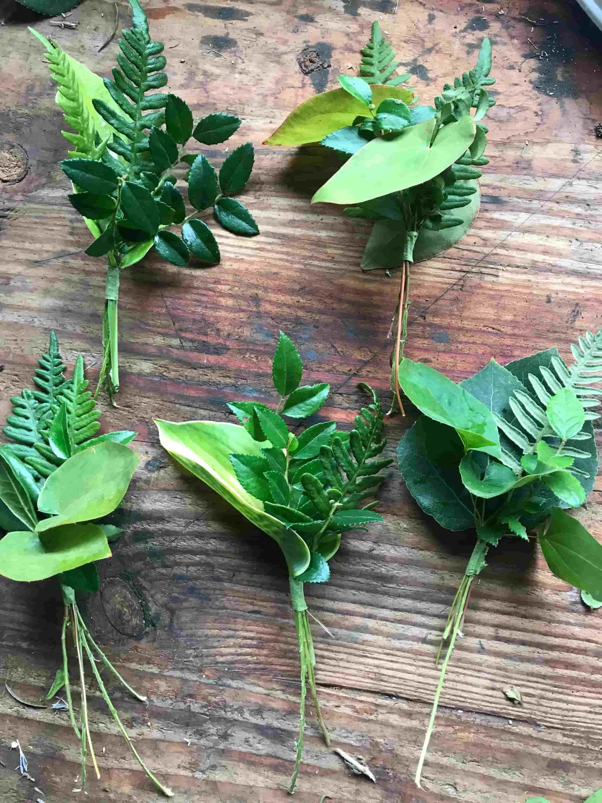 GREENERY_compressed.jpg