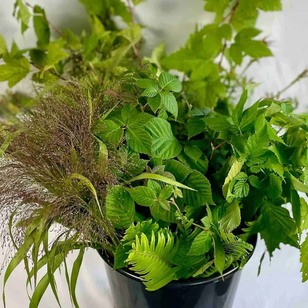 DIY Bulk Flower Greenery Buckets Bellingham Skagit Whatcom Lynden